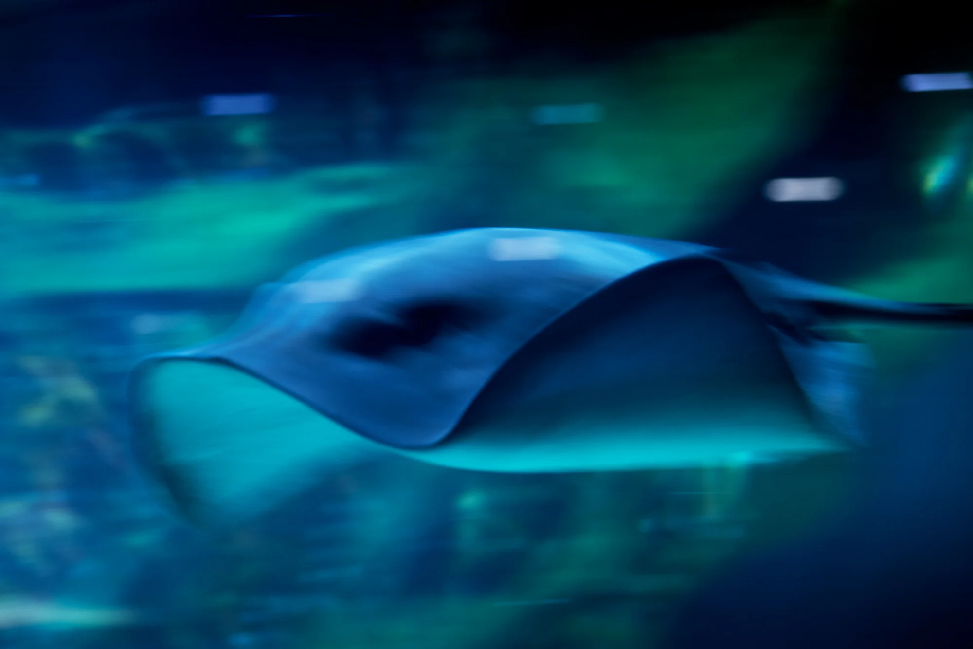 RAY_00288.jpg