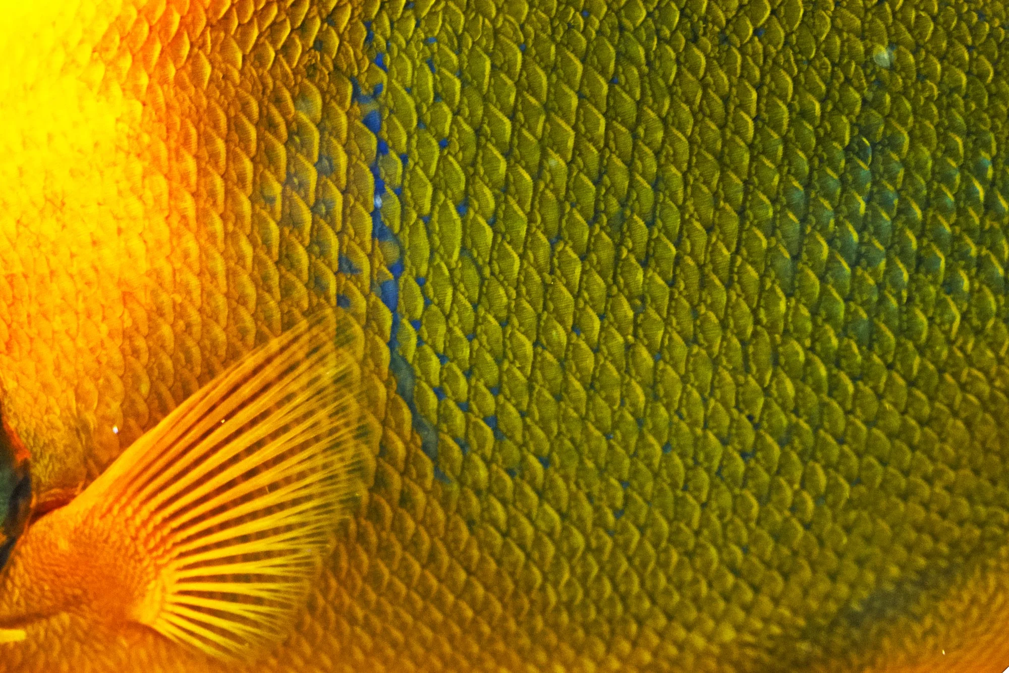 DETAIL_01034.jpg