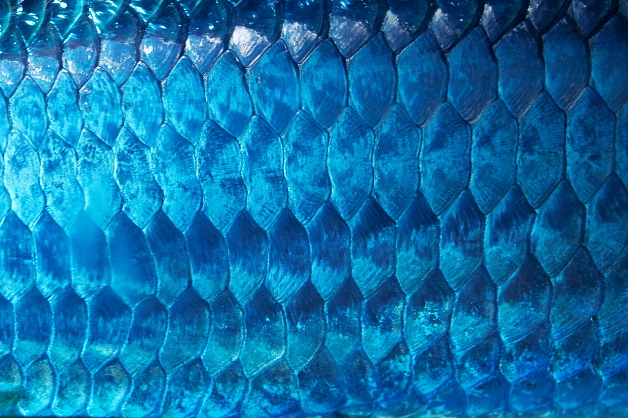 DETAIL_01094.jpg