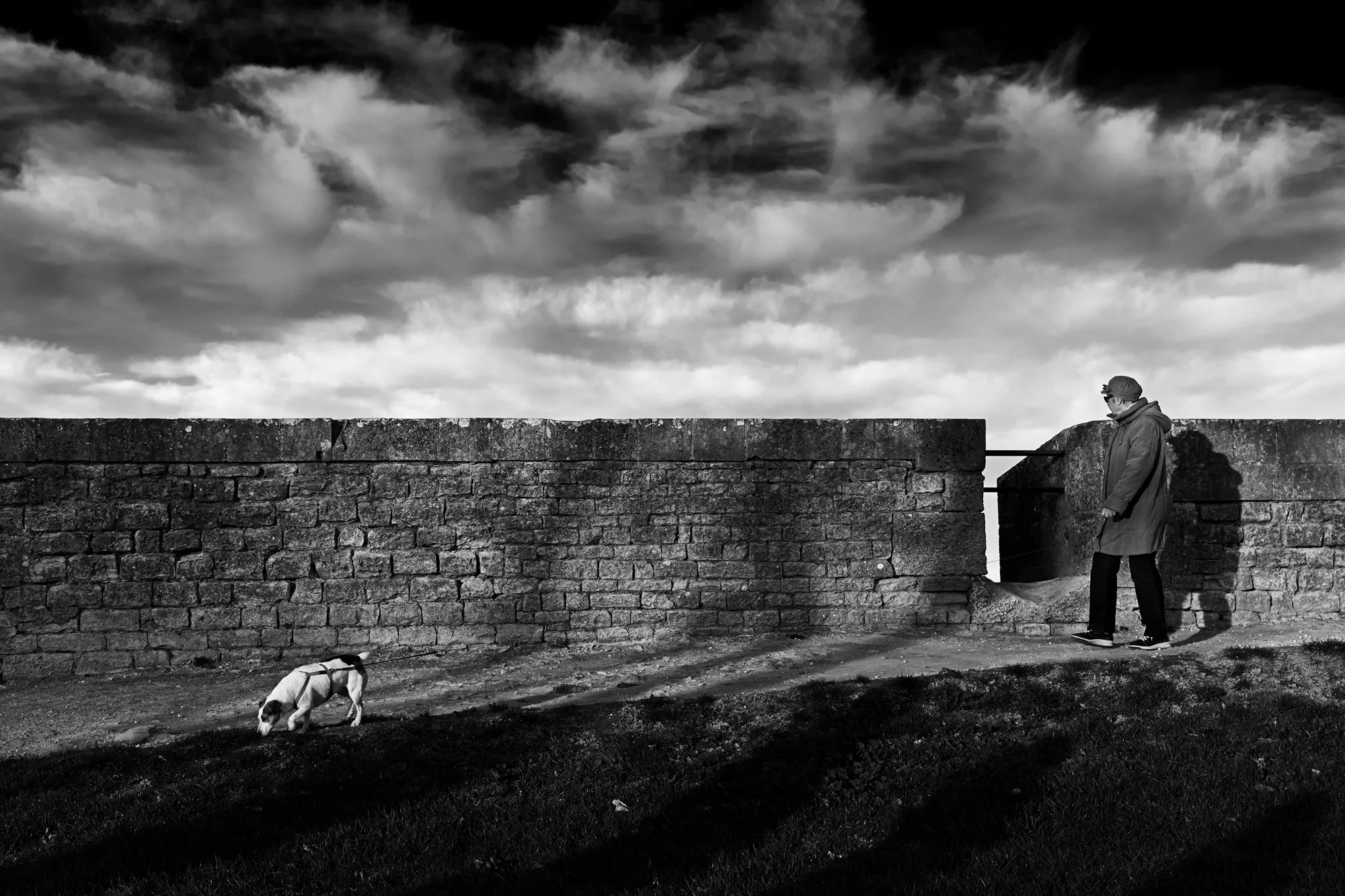 JACK_RUSSELL_S1040167.jpg
