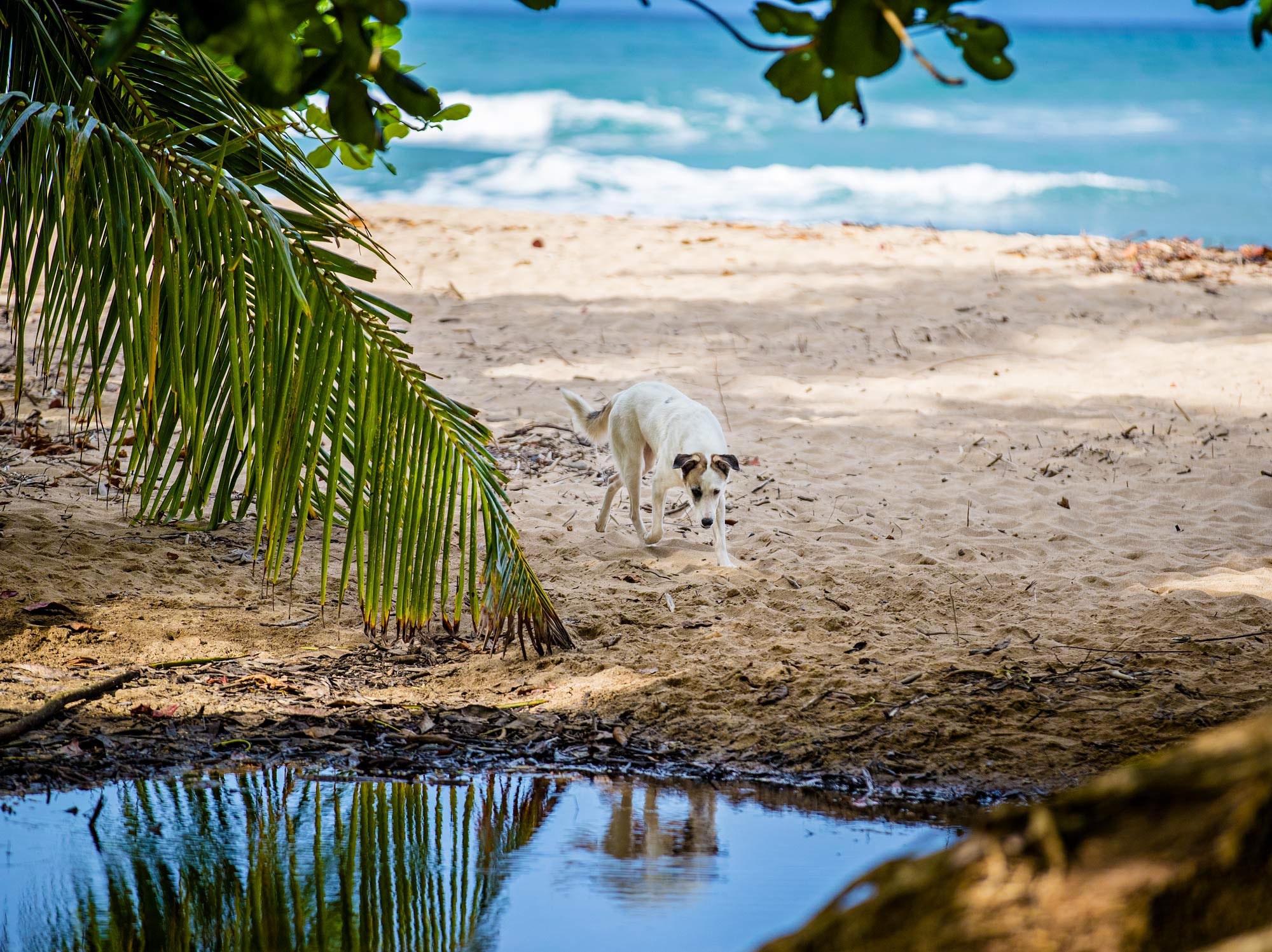 Costa_Rica_MISC_883.jpg