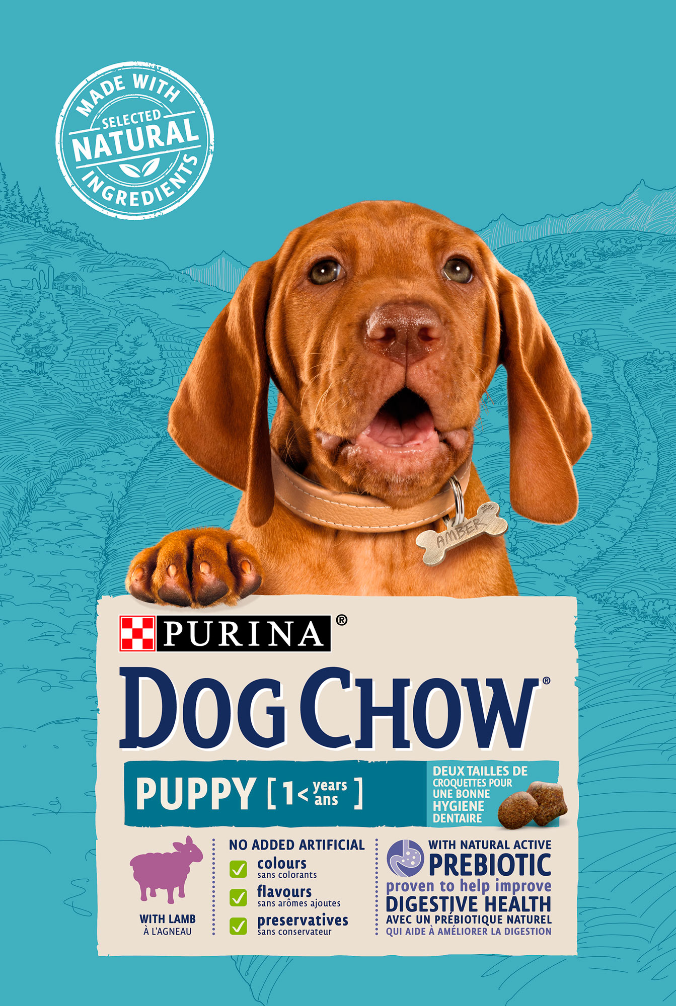 2.5kg-DC-2L-Puppy.jpg