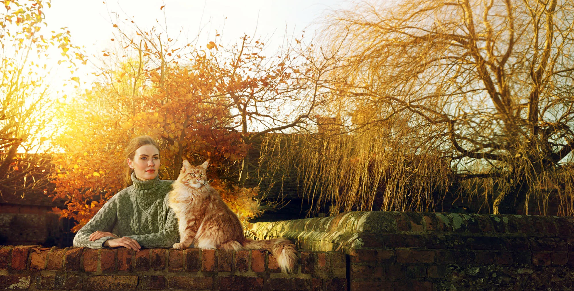 171130_True_Instinct_CAT_V1-copy.jpg