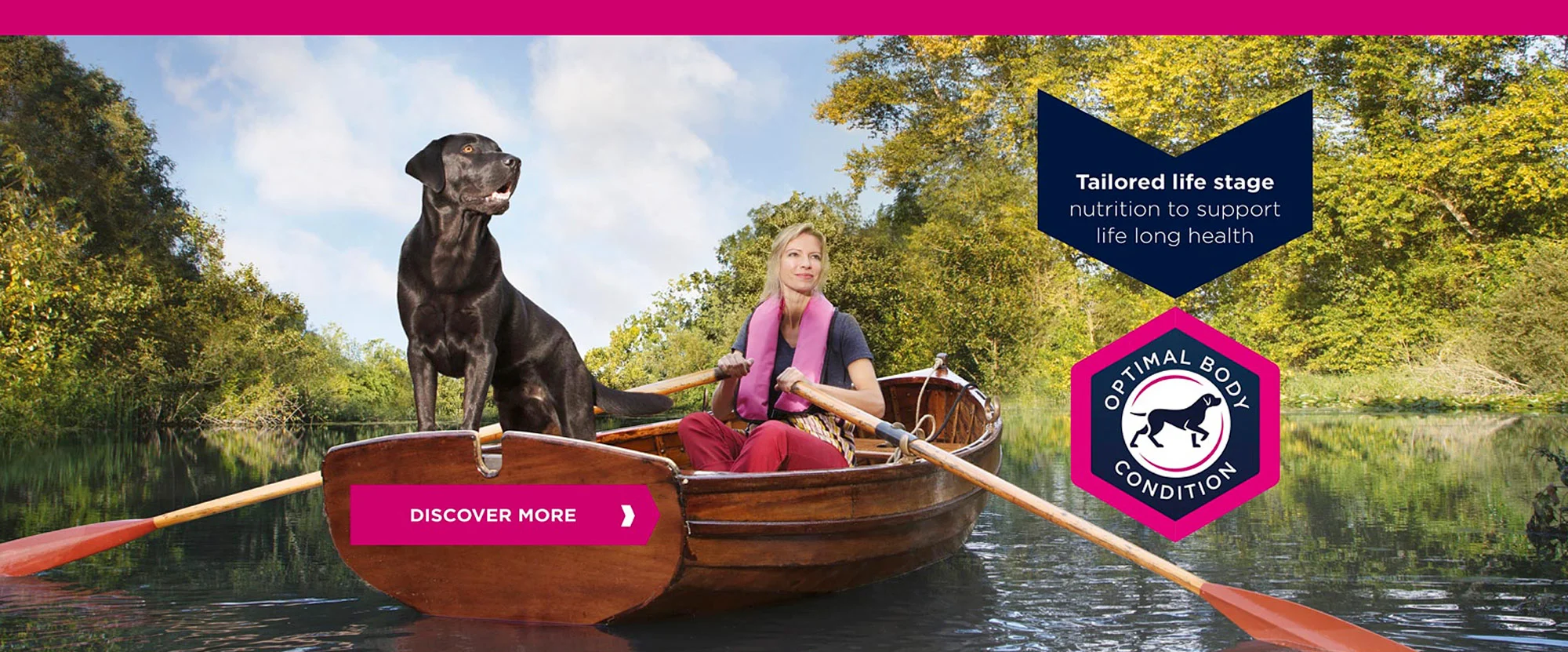 Boat&dog.jpg