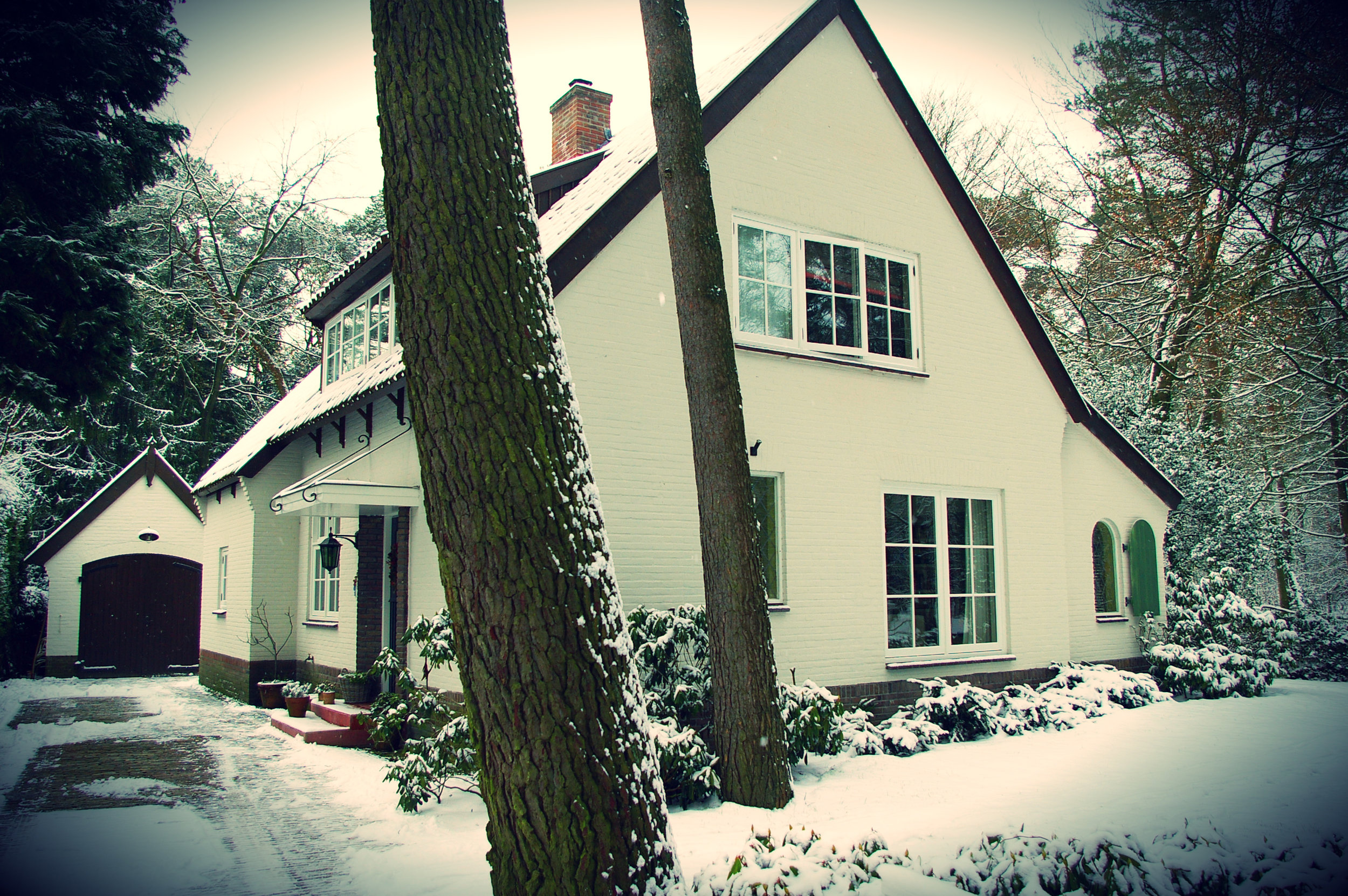 renovatie villa te waalre