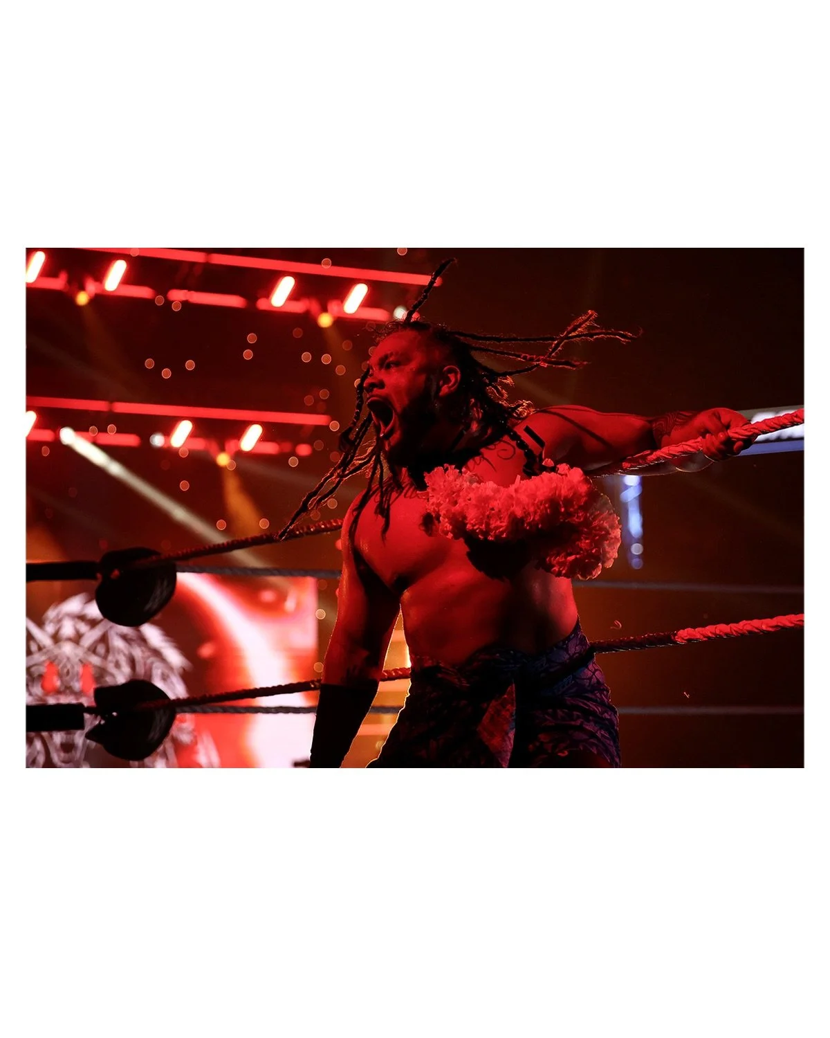 Haven&rsquo;t posted in awhile&mdash;wrestling photo dump from the last month or two (📸: WWE)