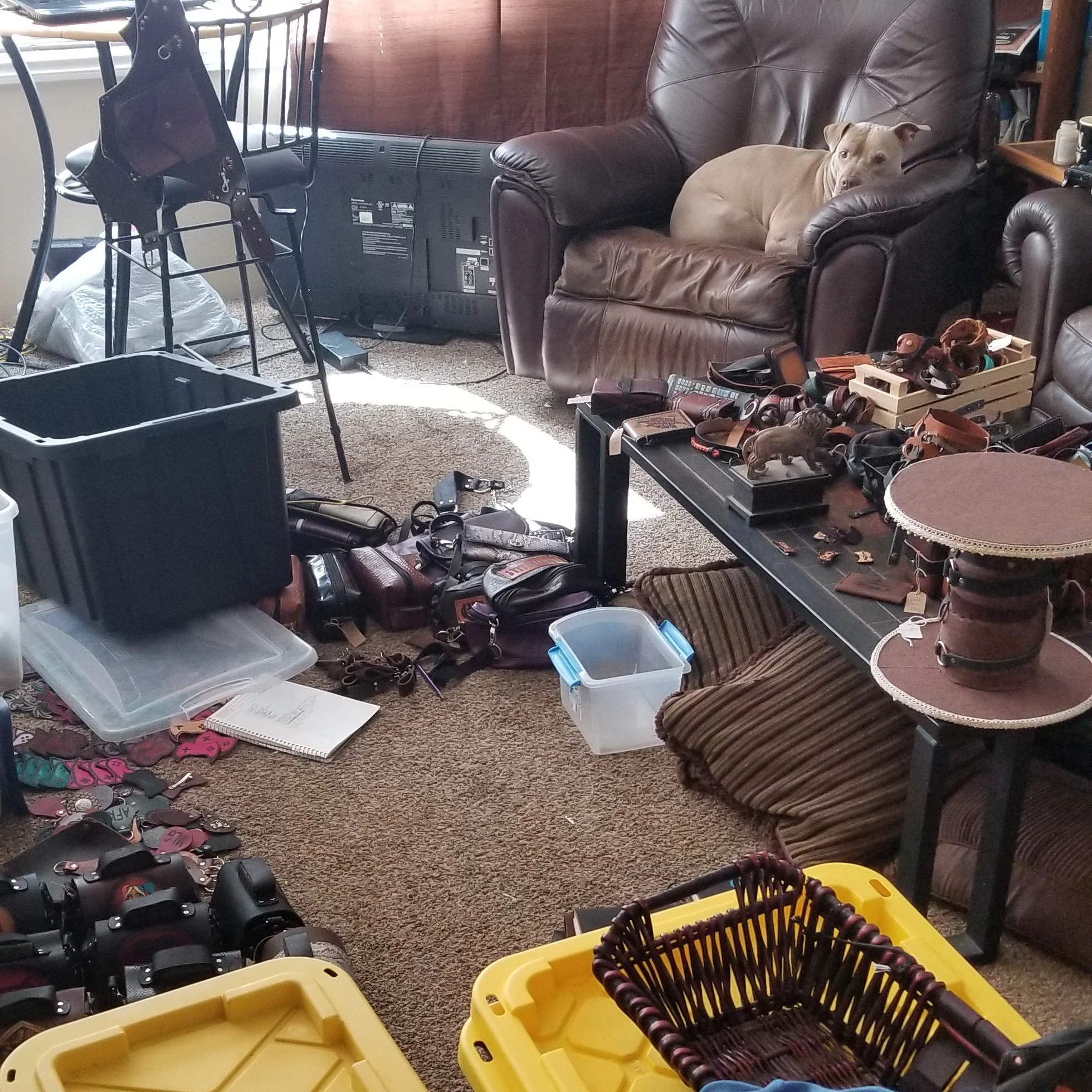 The craziness before the con!