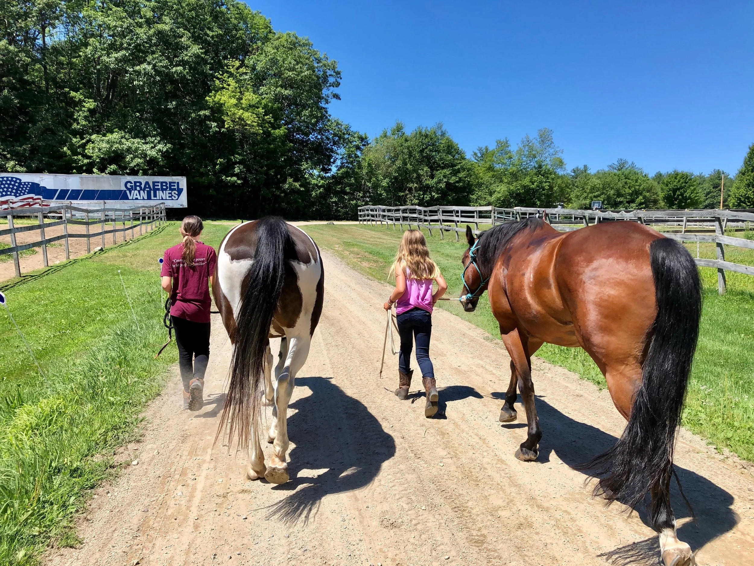Walking the horses back to the field.jpg
