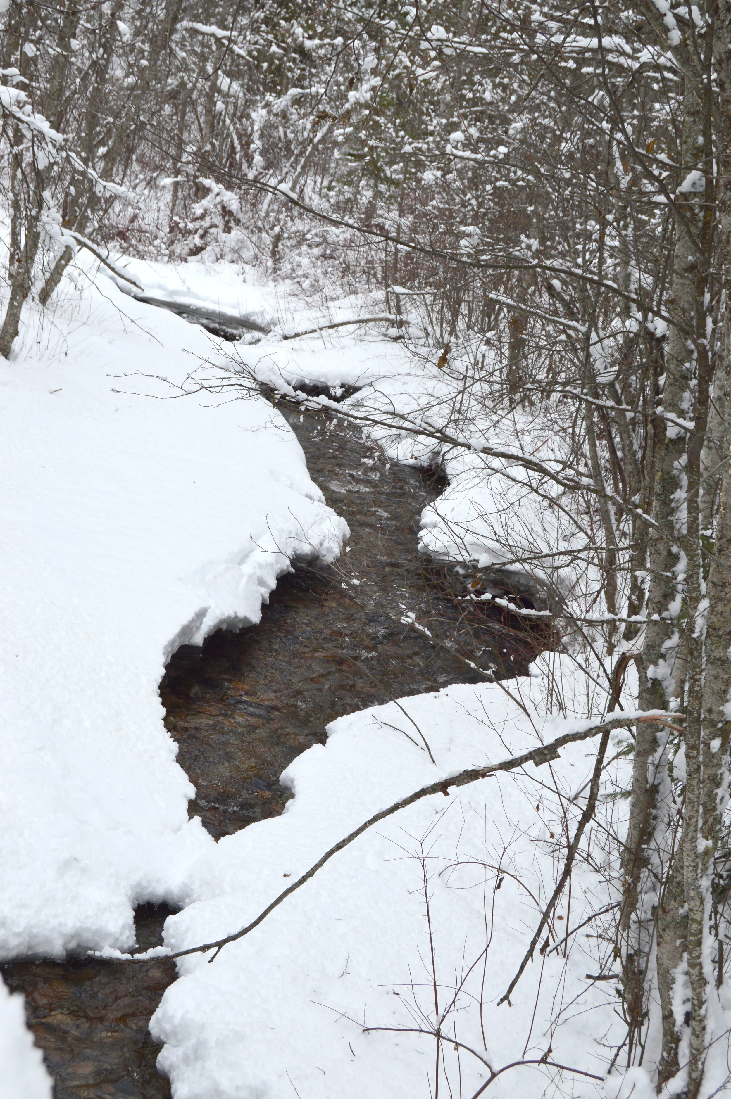 WaterSnow2.jpg