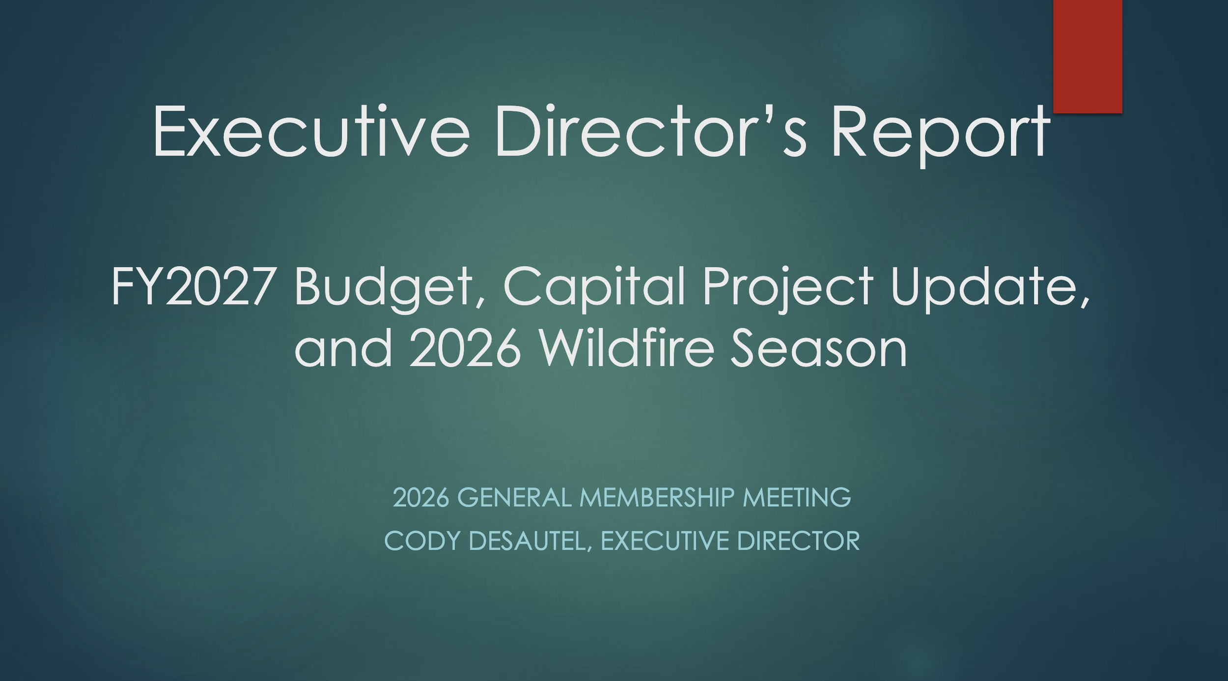Executive Director 2026