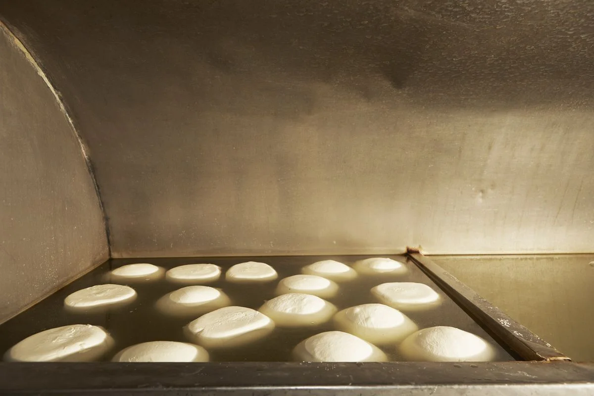 Alleva_Dairy_Ricotta_Floating_RT.jpg