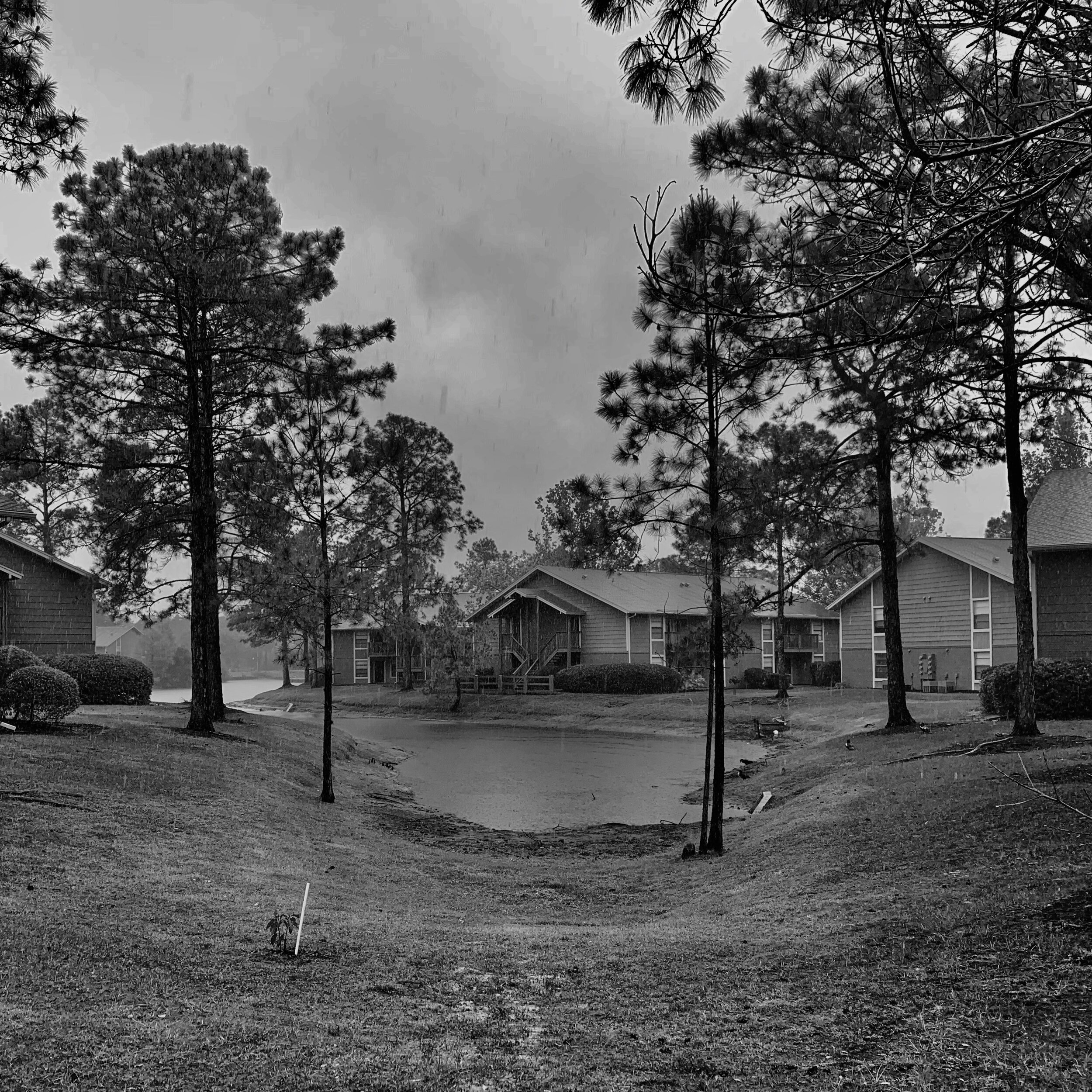 CJ Smith Rainy Day.JPG