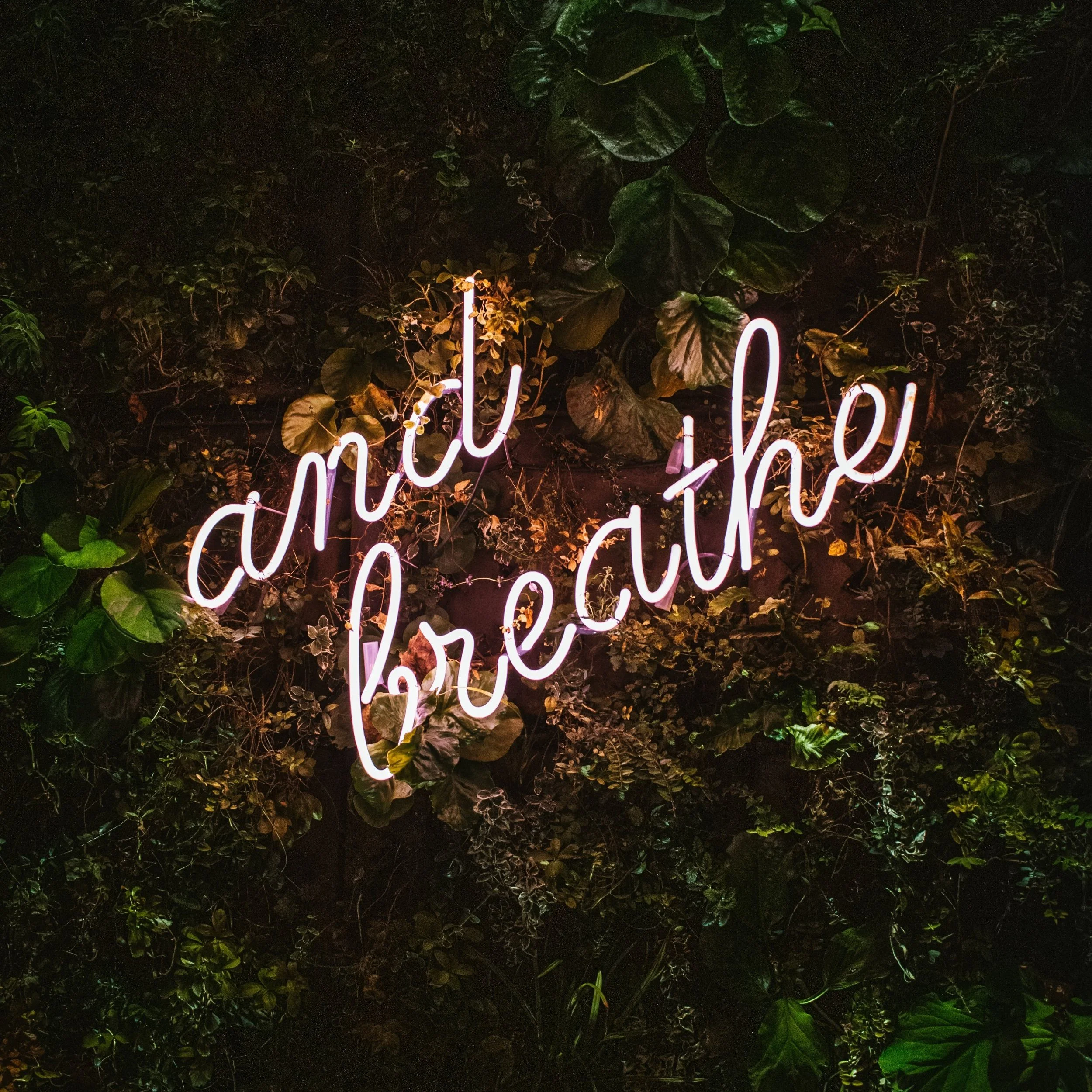 MC Blend : Self-Care Practices for the Mind, Body &amp; Soul (Pt. 1) 