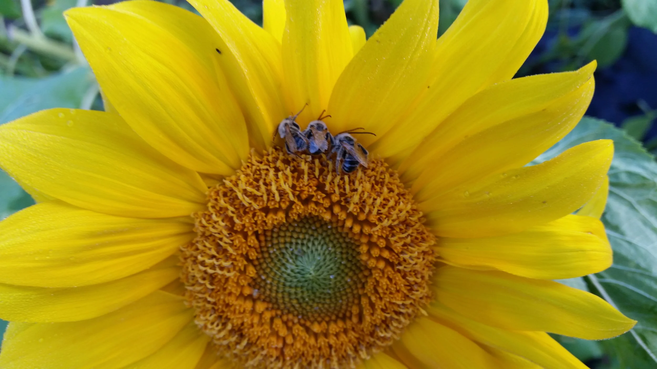 20150827_071214.jpg