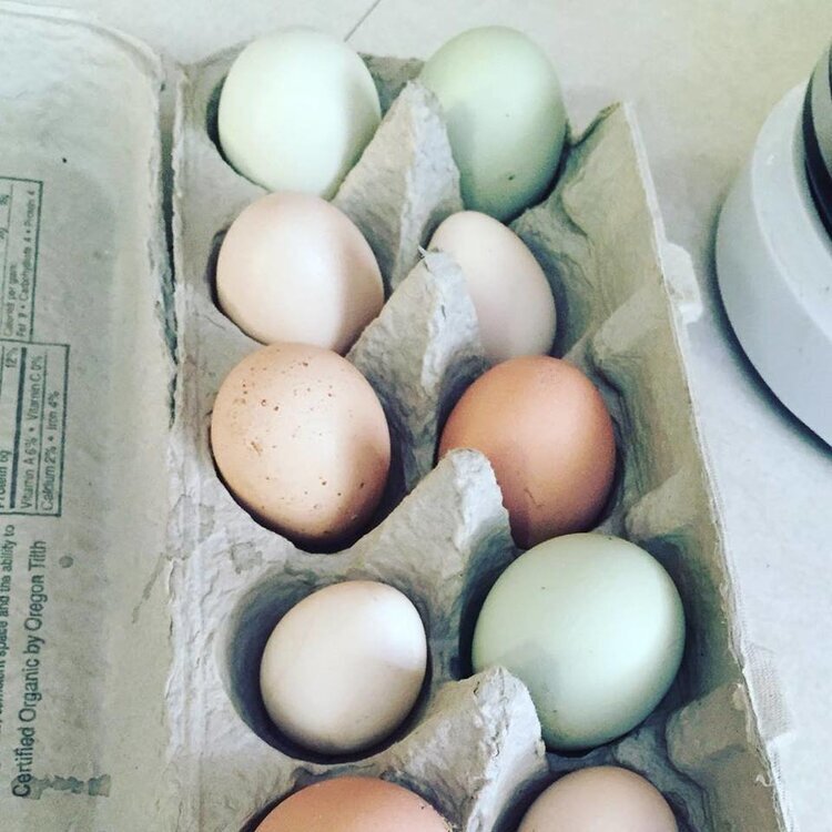 Eggs from Herondale Farm