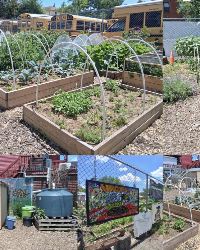 Regional Community Workday @ A Healing Sanctuary (NEWARK, NJ)
