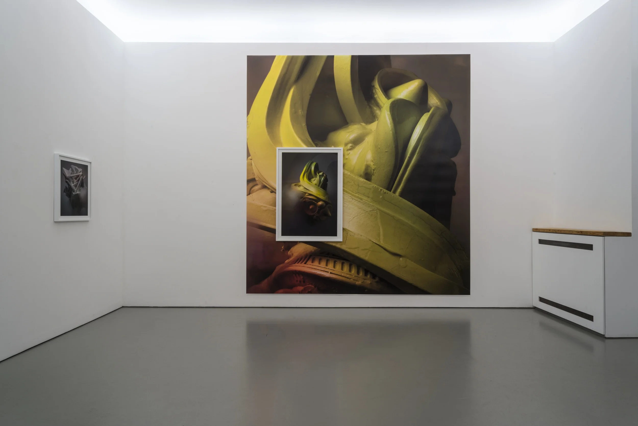 mad odor roses, 2013