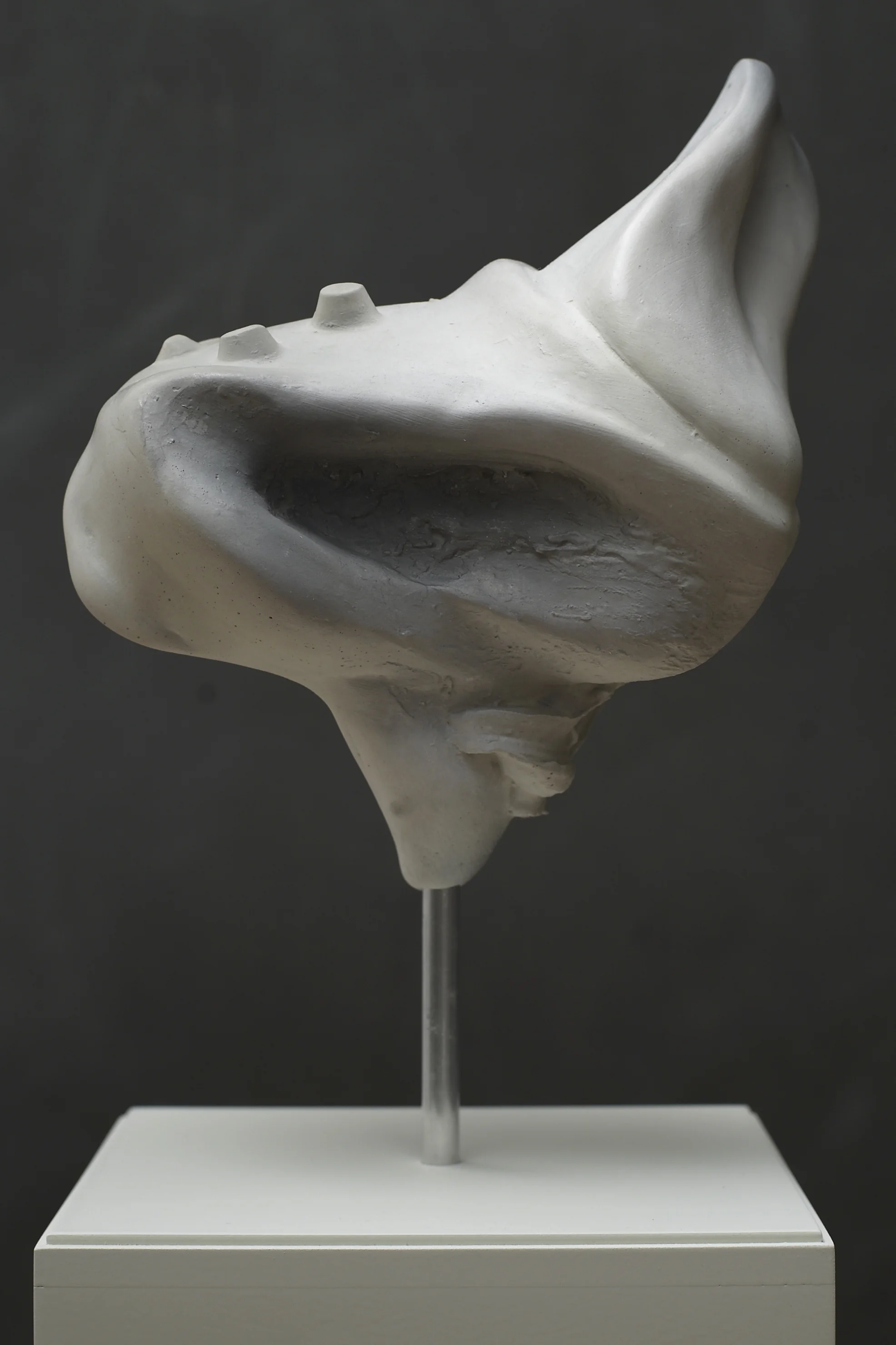 hoi polloi (008) 2010