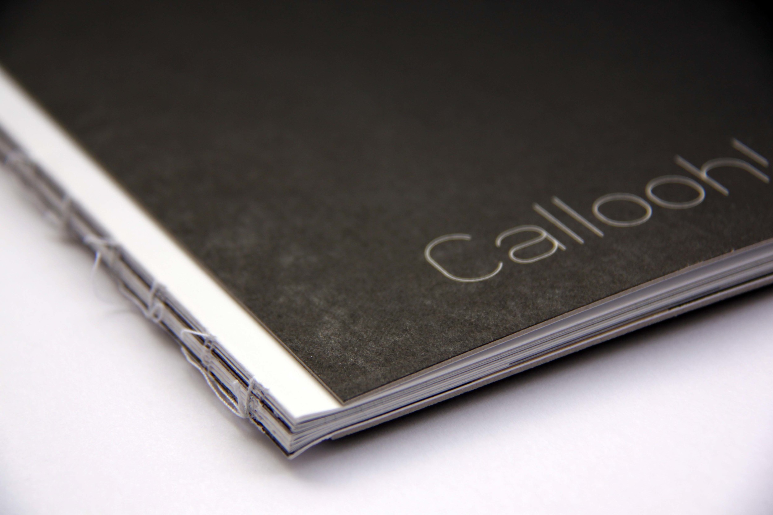 callooh catalogue cover 2.jpg