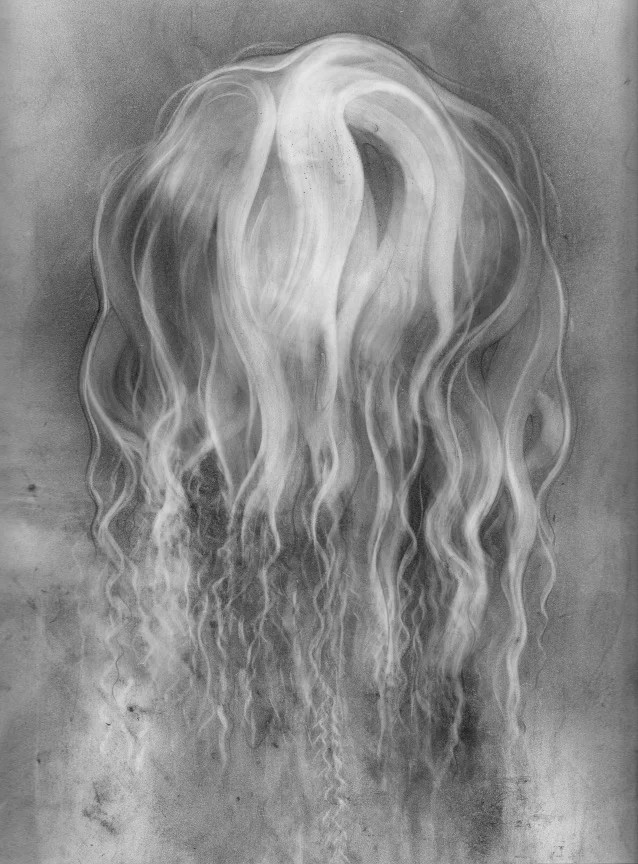 an amalgam of amiable anomalies, 2011-12