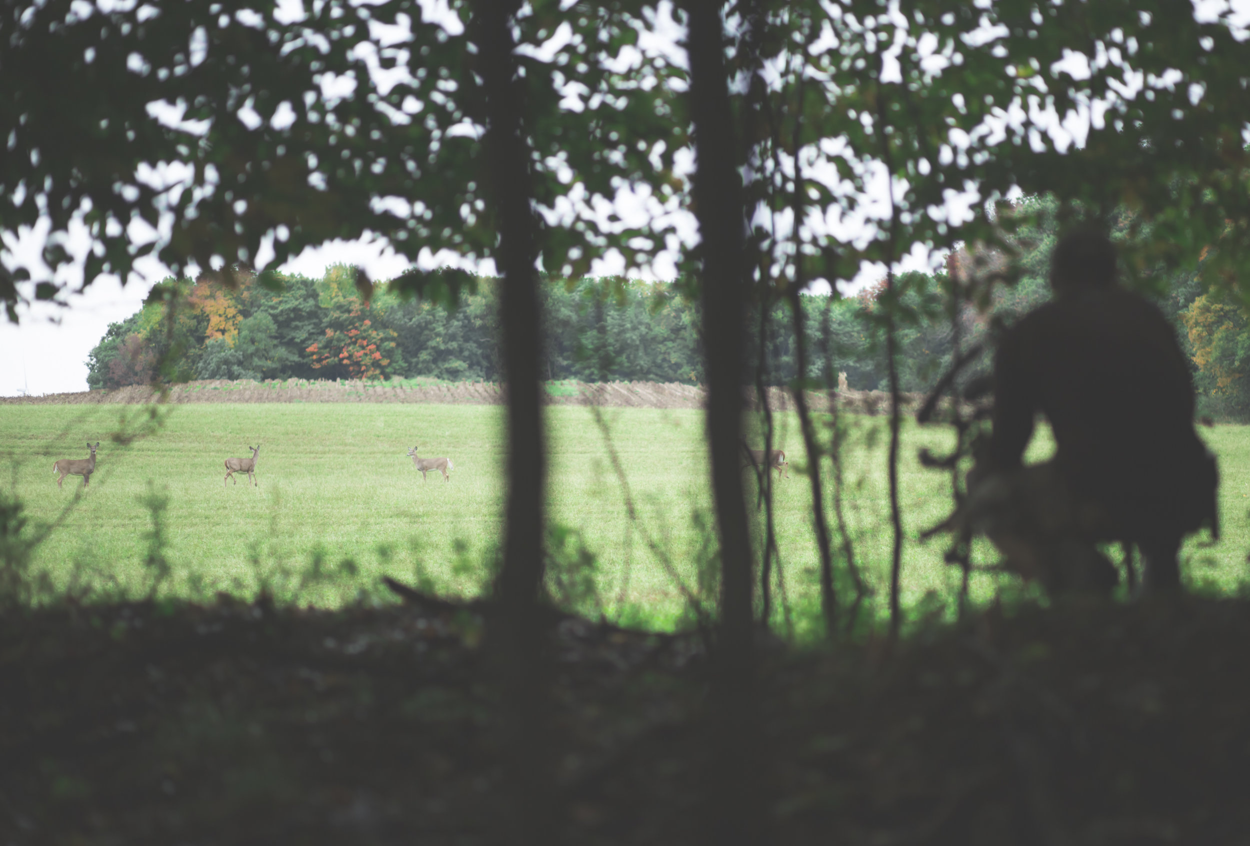 E-Tata-Mel-394A6439-.jpg