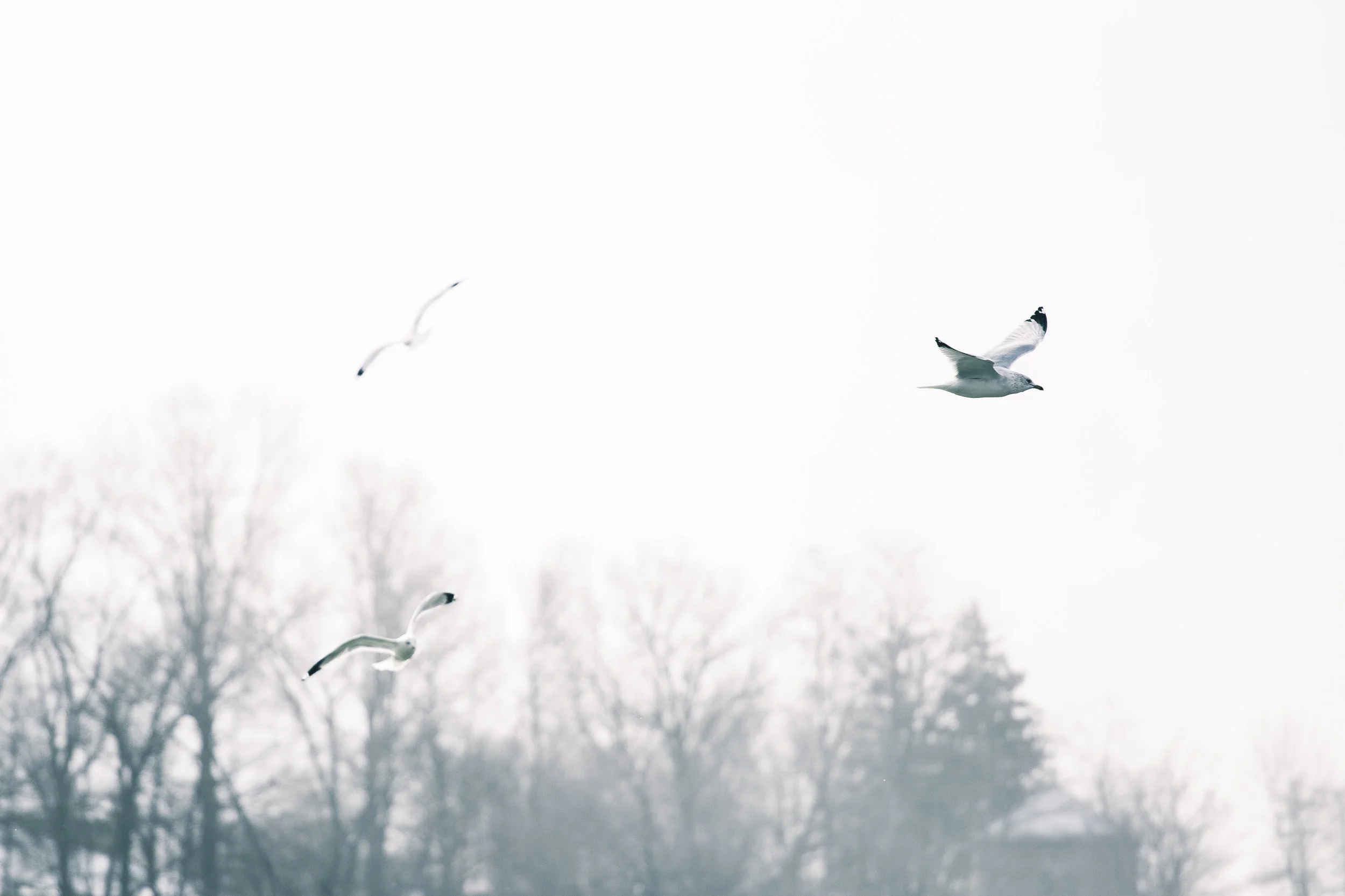 meltataphotography1017394A8967-.jpg