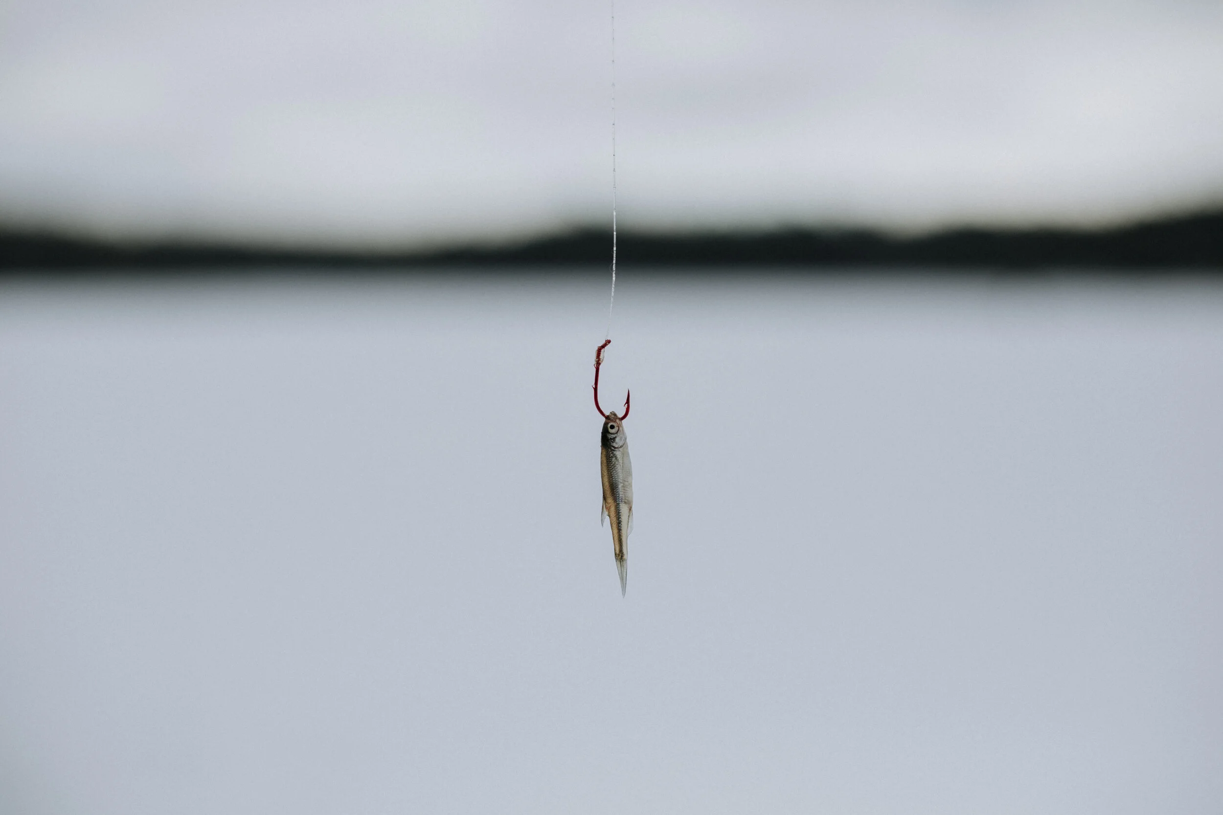 ICEFISHING394A7818.jpg