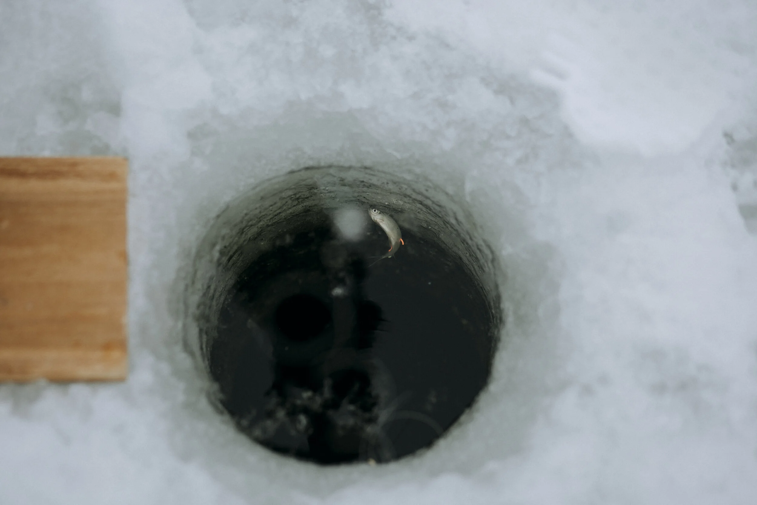 ICEFISHING394A7852.jpg