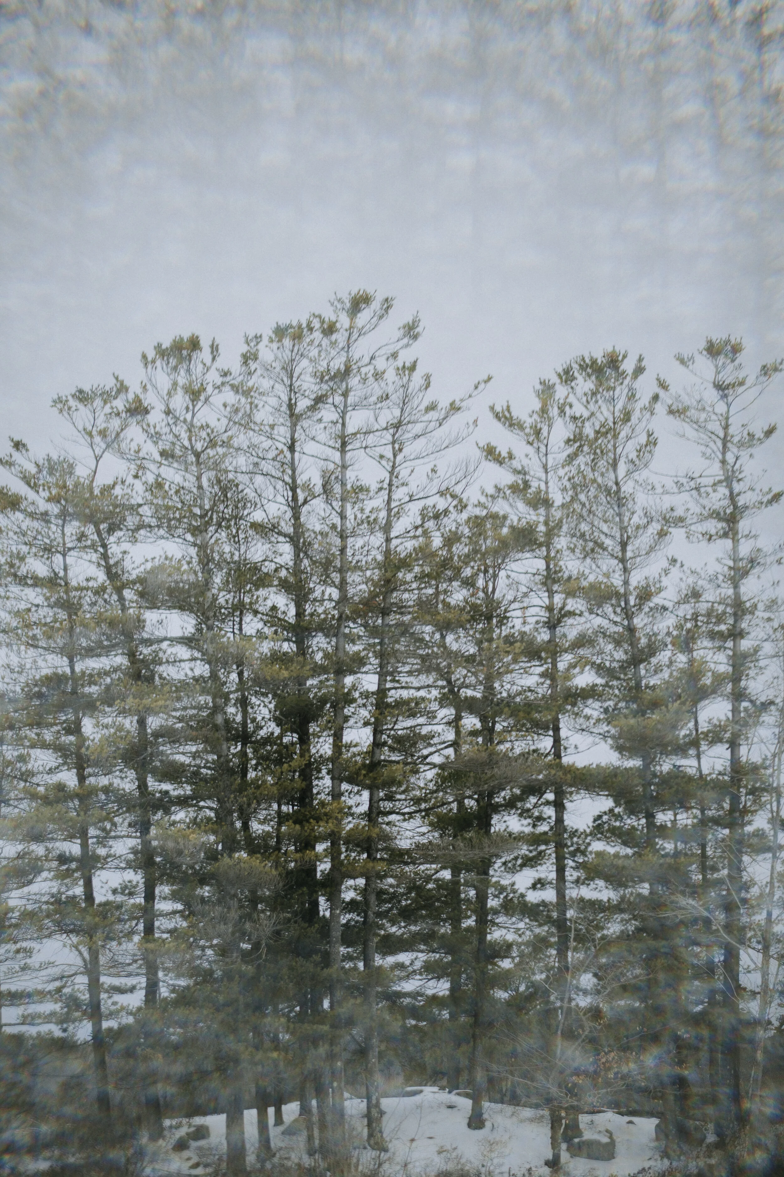 ICEFISHING394A7883.jpg
