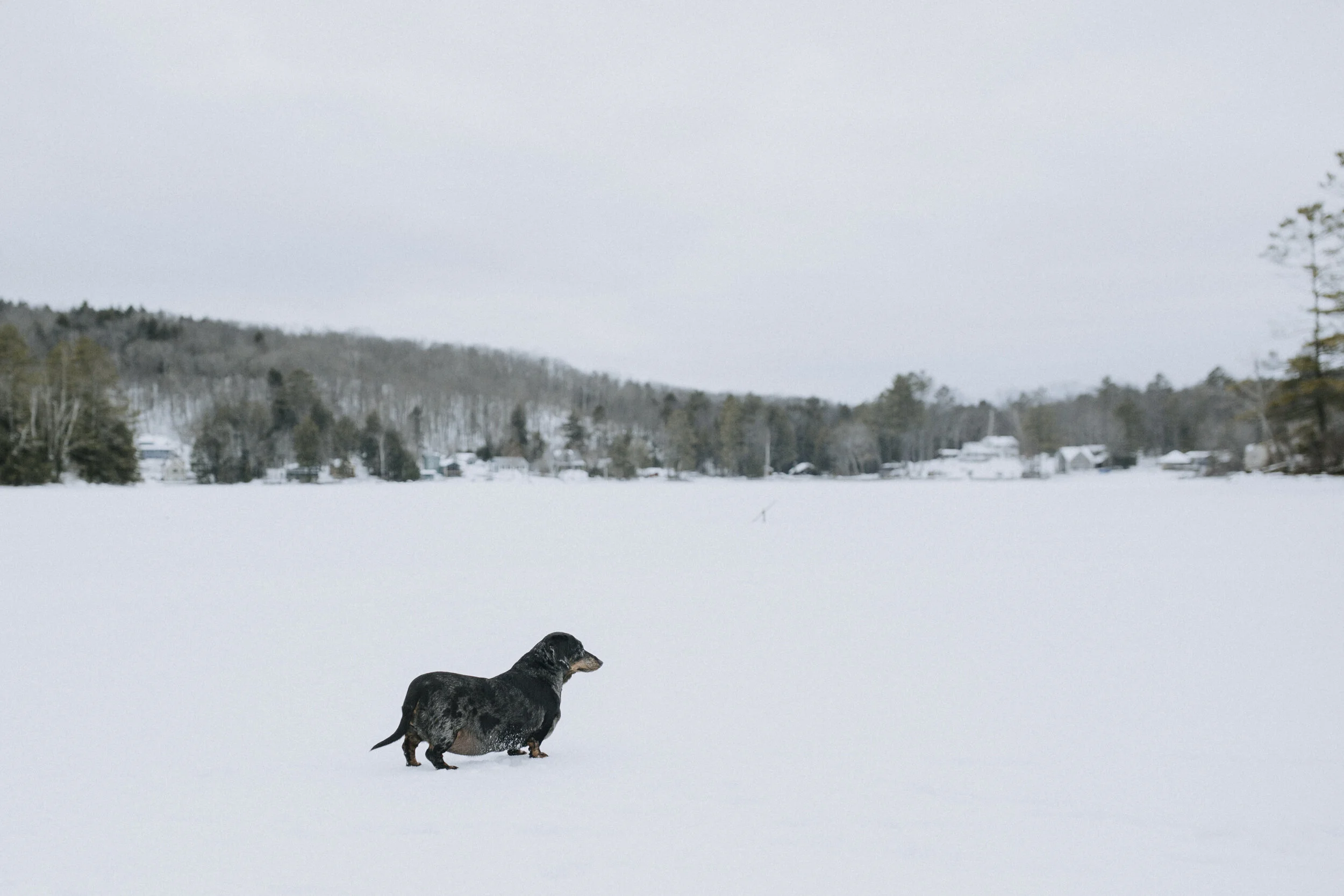 ICEFISHING394A7944.jpg