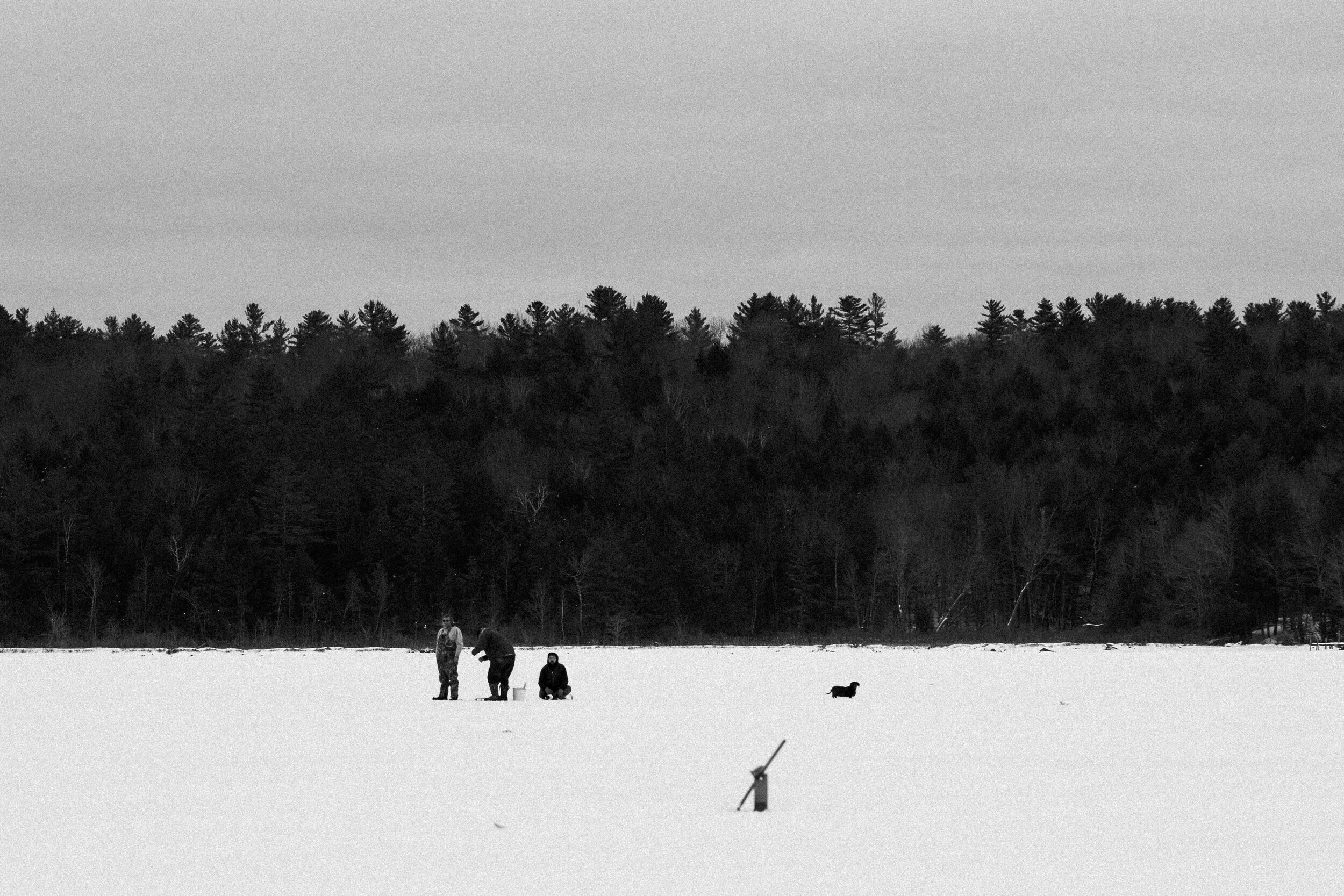 ICEFISHING394A8146.jpg
