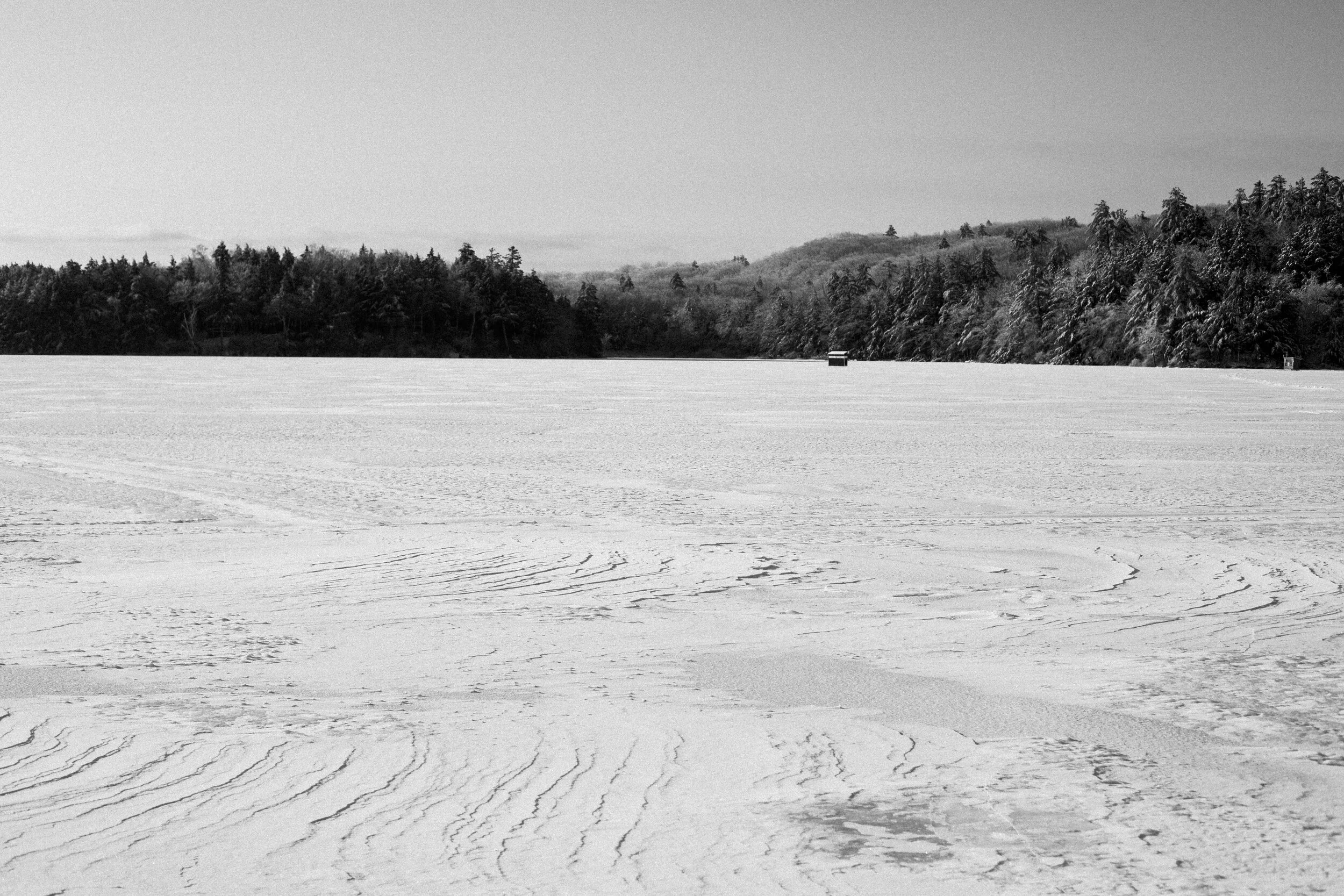 ICEFISHING394A4055.jpg