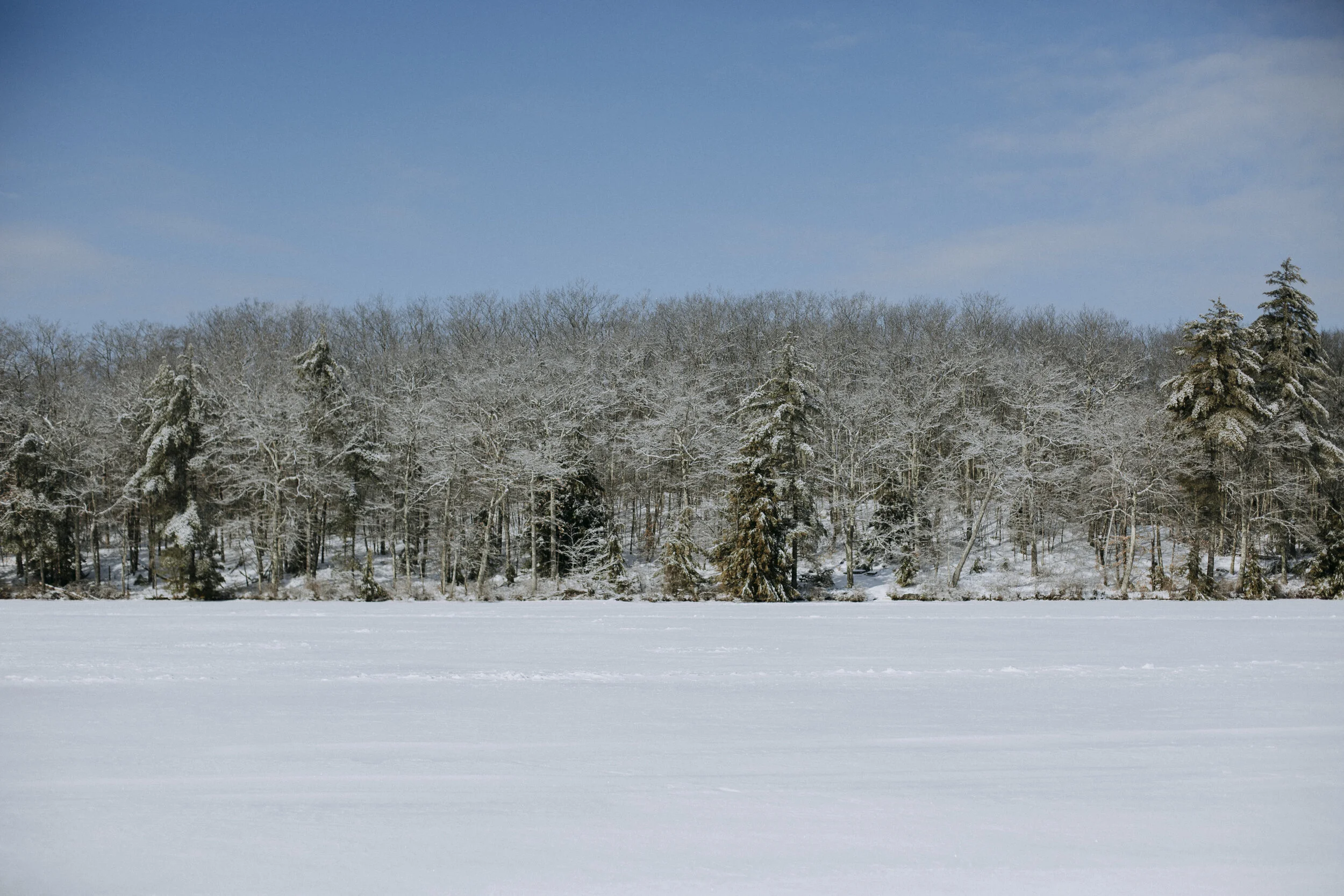 ICEFISHING394A4304.jpg