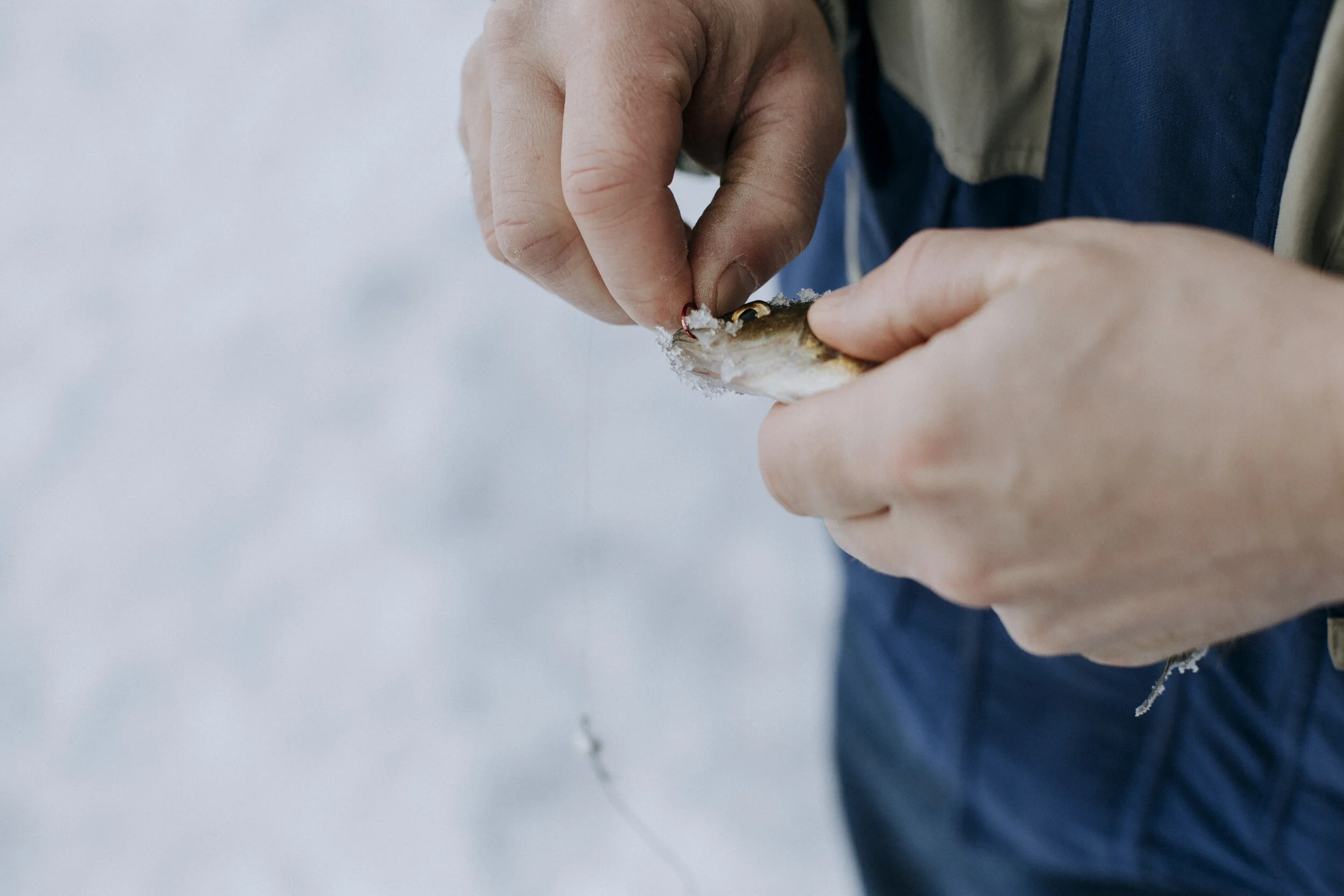 ICEFISHING394A6709.jpg