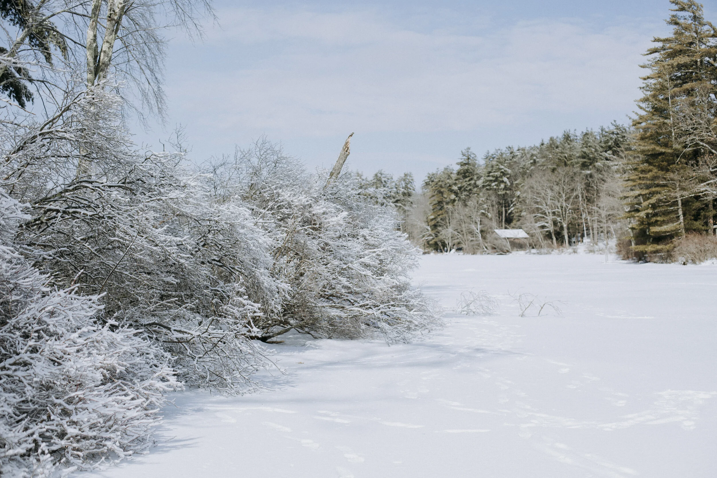ICEFISHING394A6805.jpg