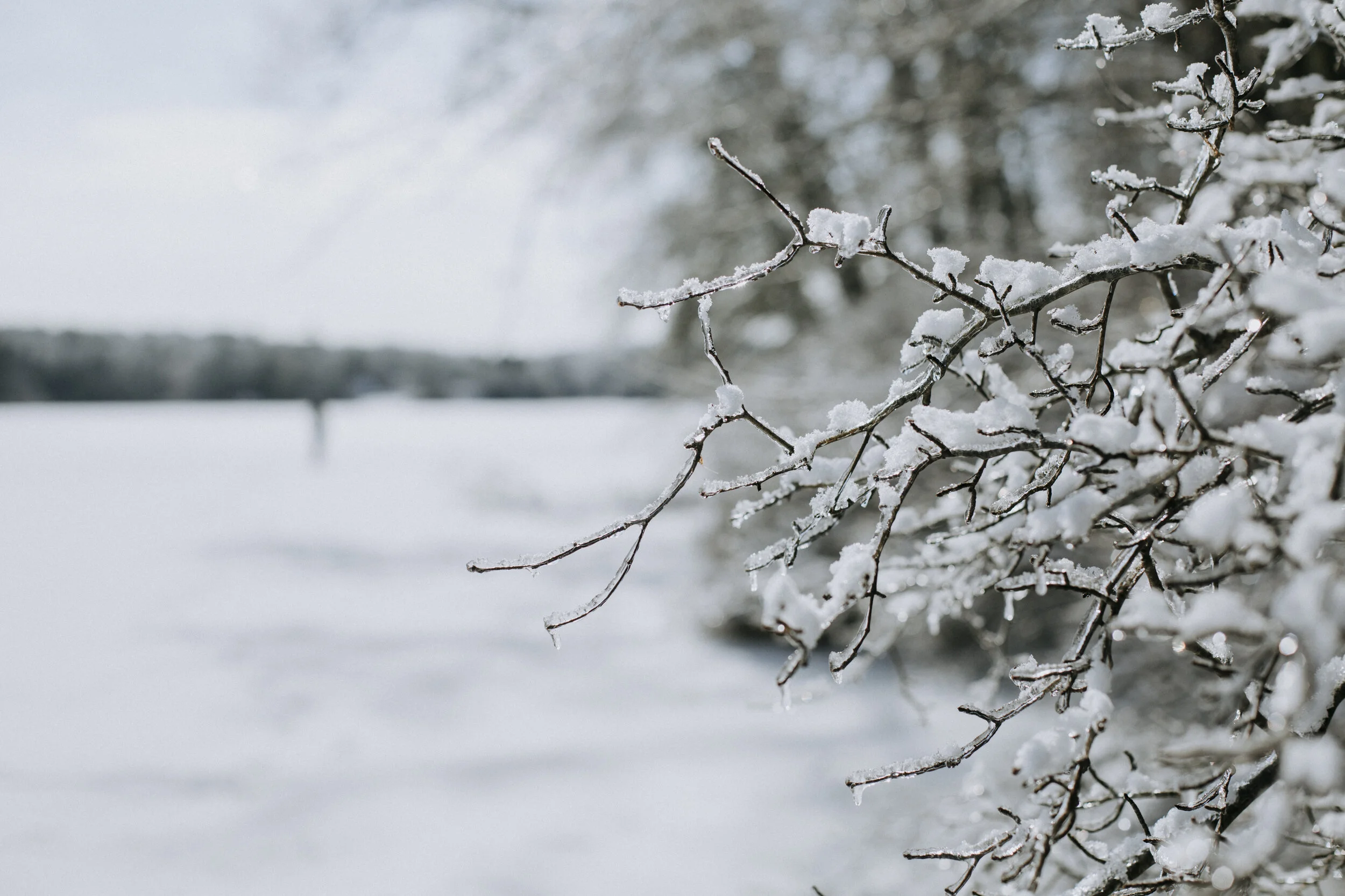 ICEFISHING394A6832.jpg