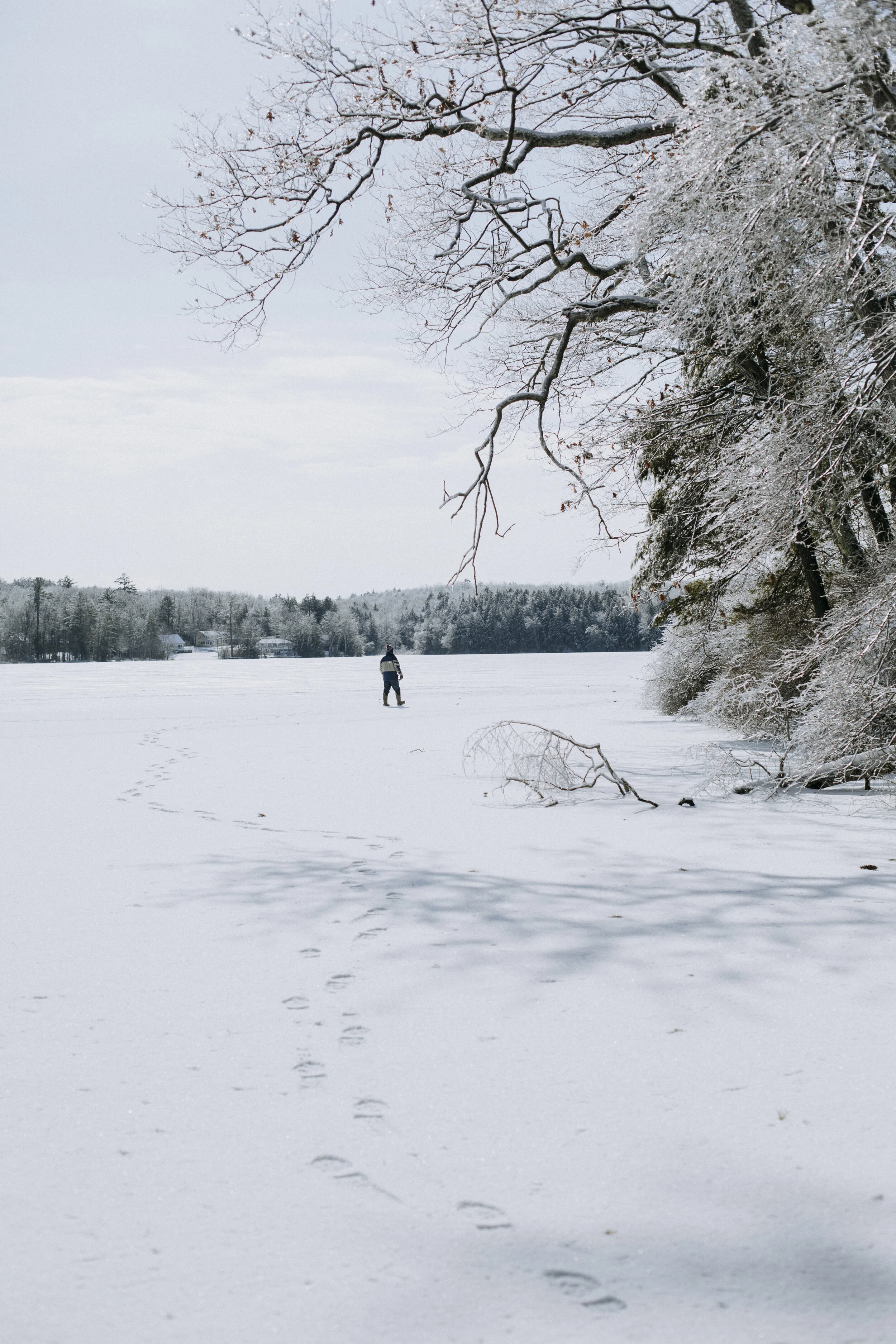 ICEFISHING394A6839.jpg