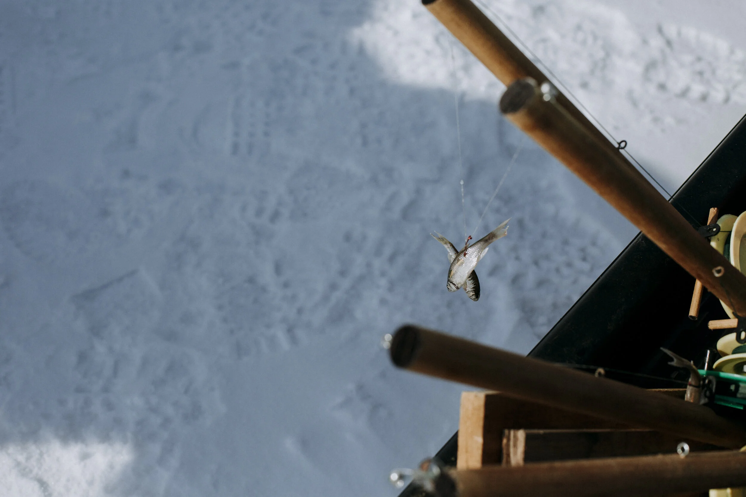 ICEFISHING394A6880.jpg