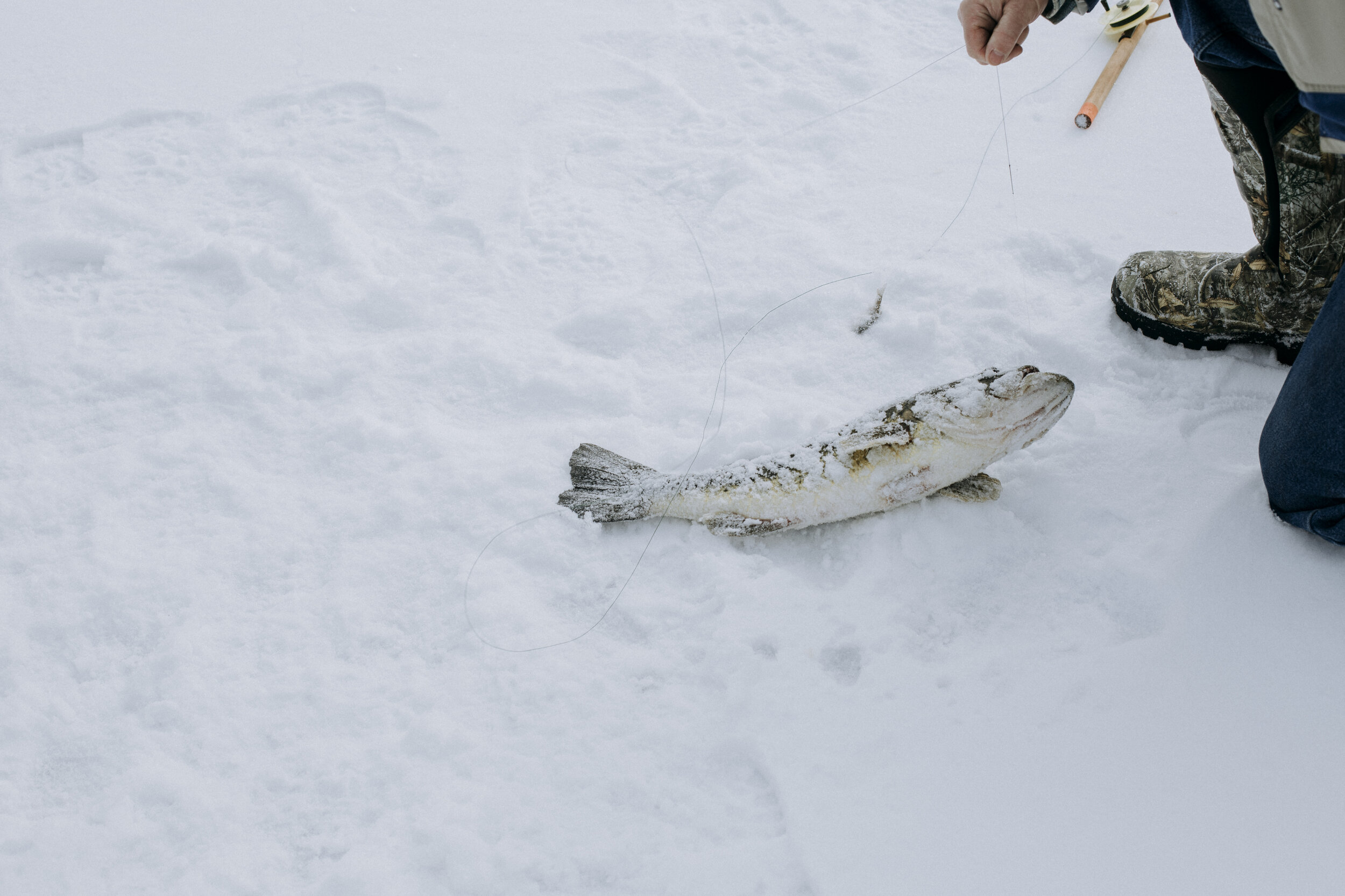 ICEFISHING394A7089.jpg