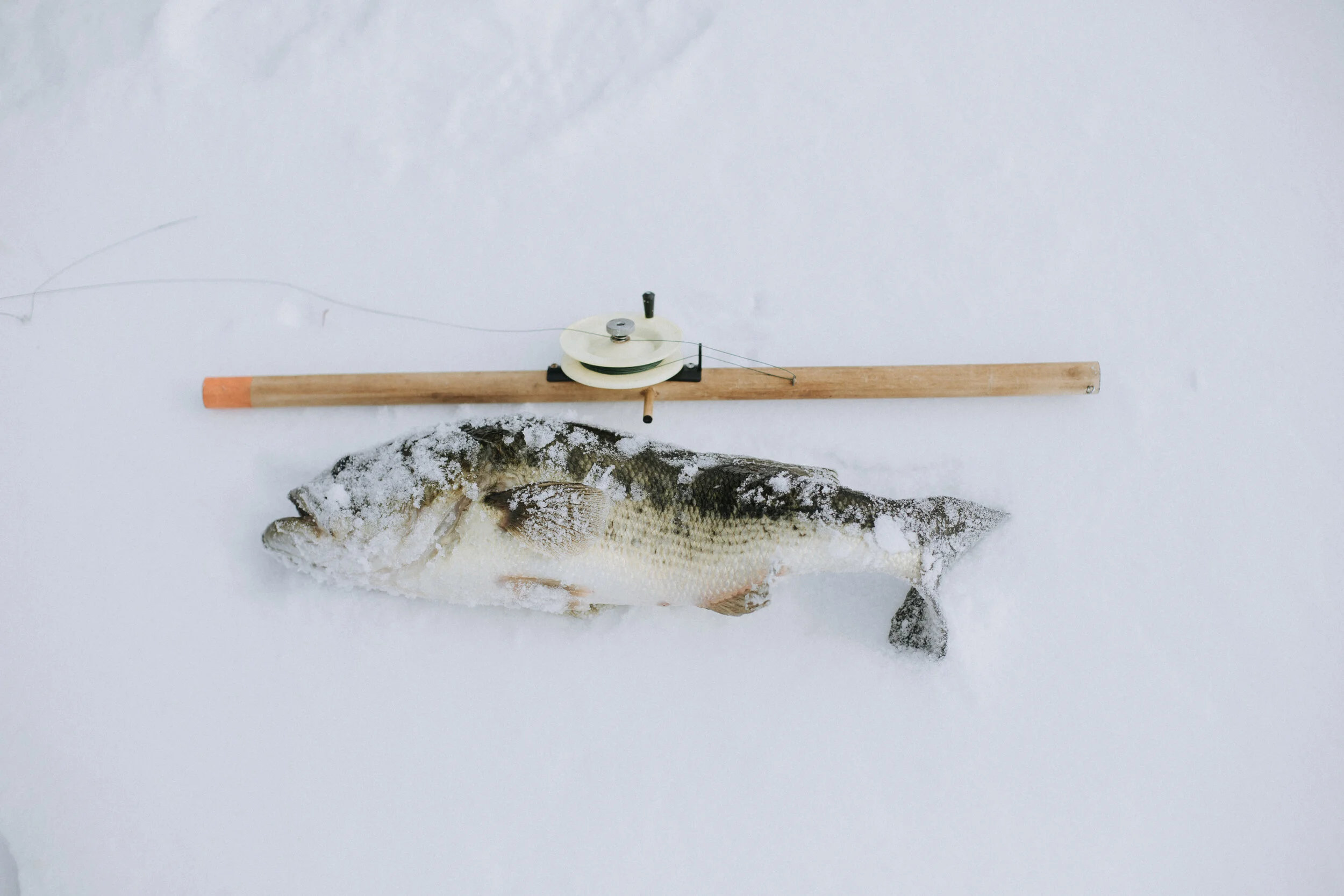ICEFISHING394A7119.jpg