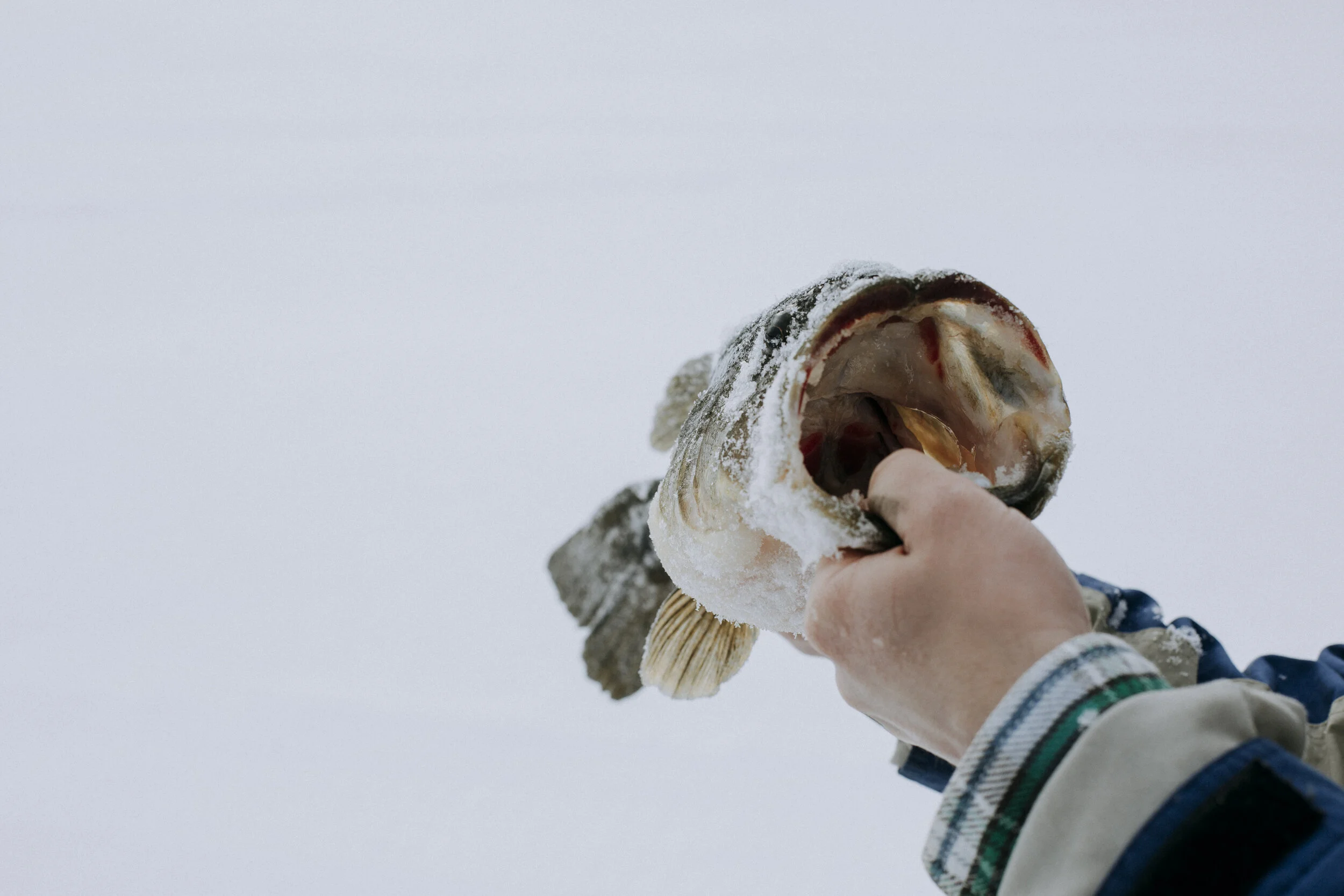 ICEFISHING394A7107.jpg