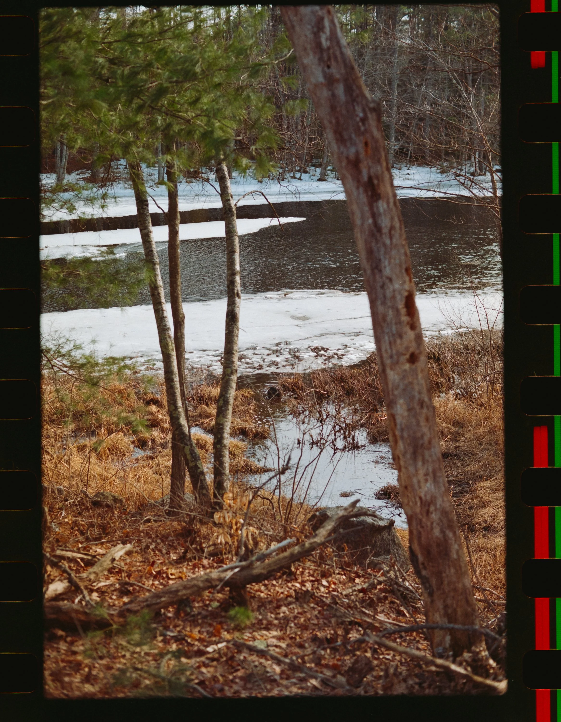 meltatafilm_SHANNONEVAN_ENG_35mm-101.jpg