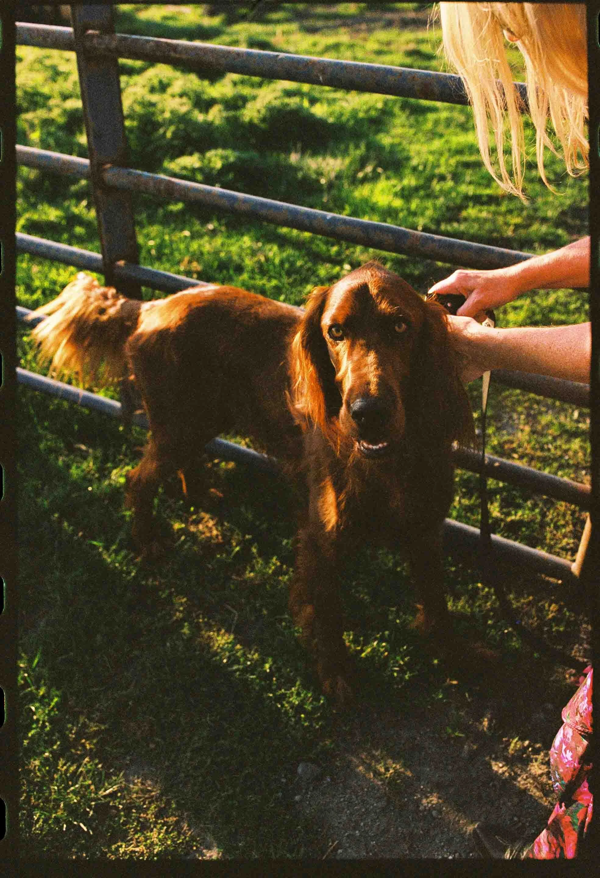 bella-myles-oct-2025-MELTATAPHOTOGRAPHY-film-597 (1).jpg