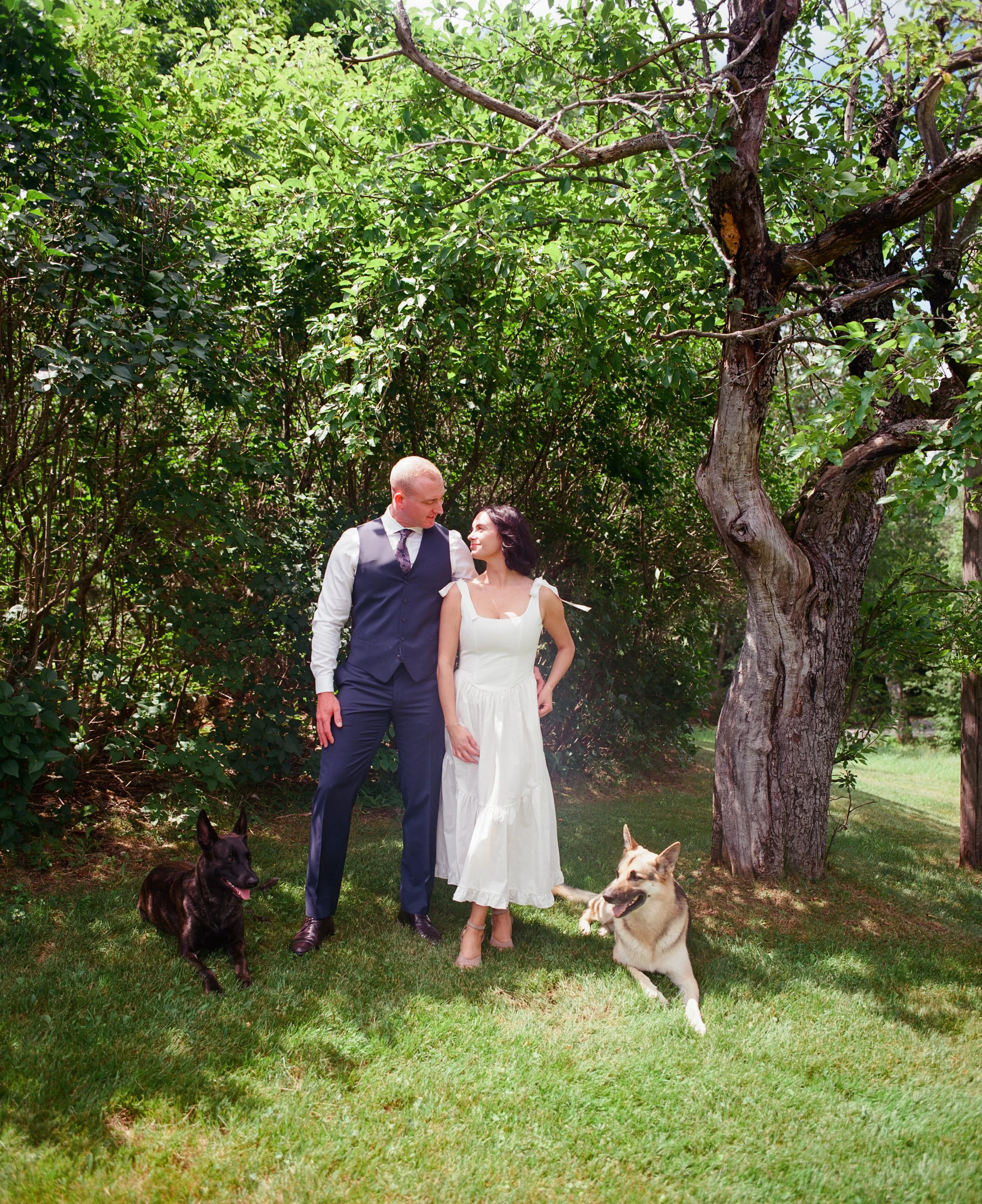 Meg &amp; Kyle: City Hall Elopement in Chelmsford, MA on film