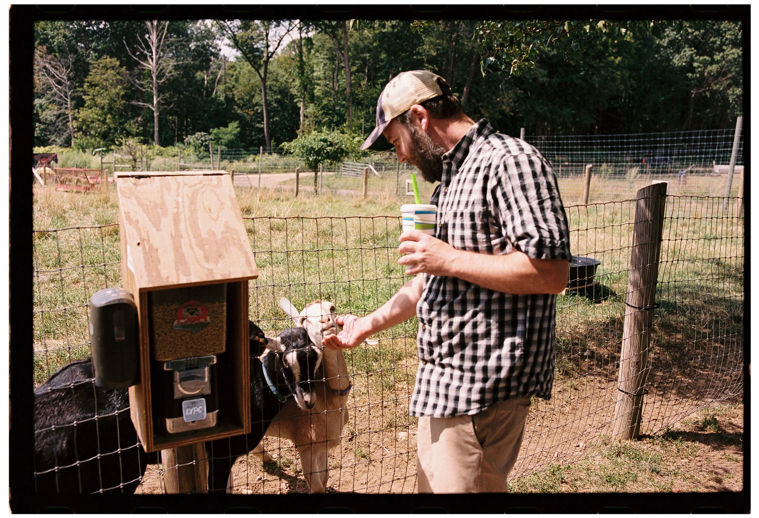 A person petting a goat through a small fence