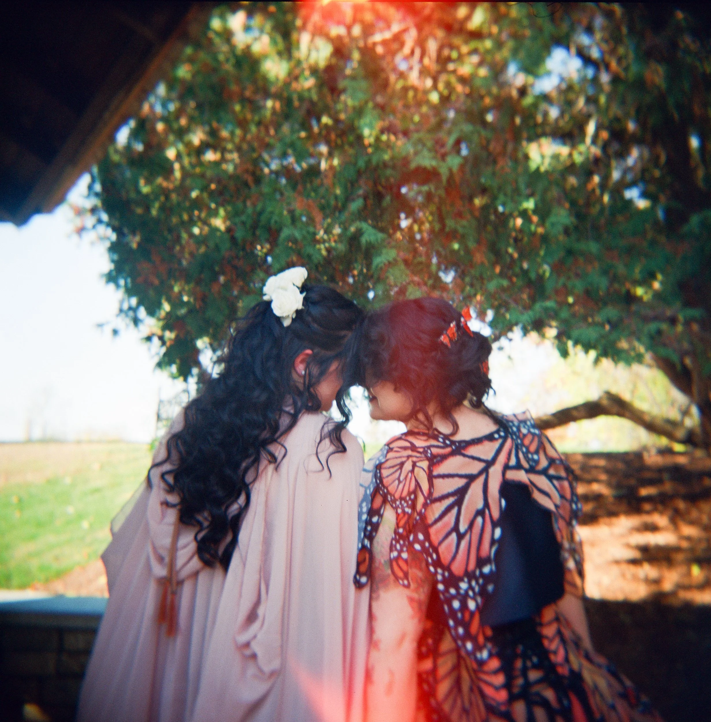 Newlyweds sitting forehead to forehead