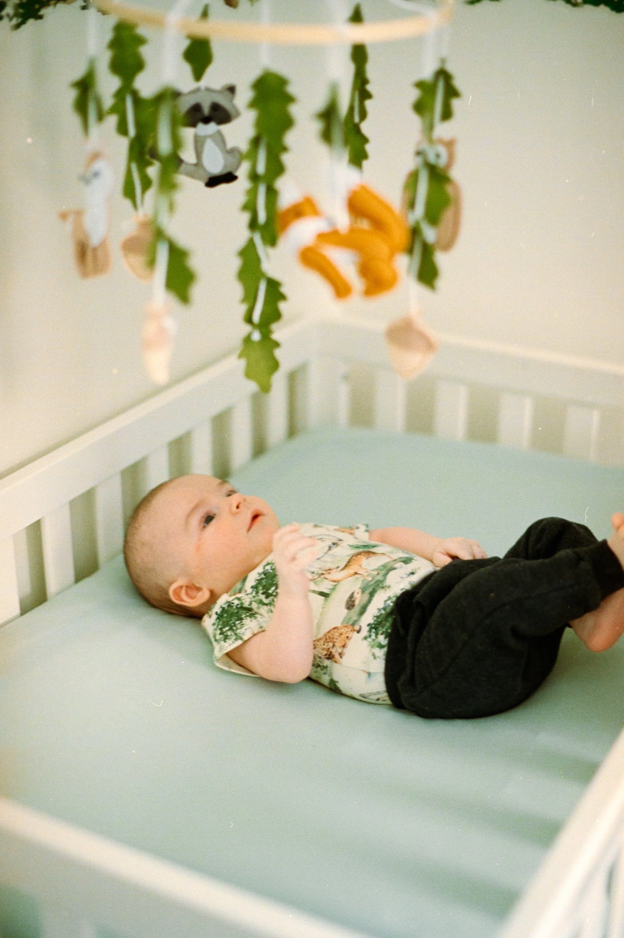 Mel_Tata_Photo_film_family_session_proctor2025022647.jpg