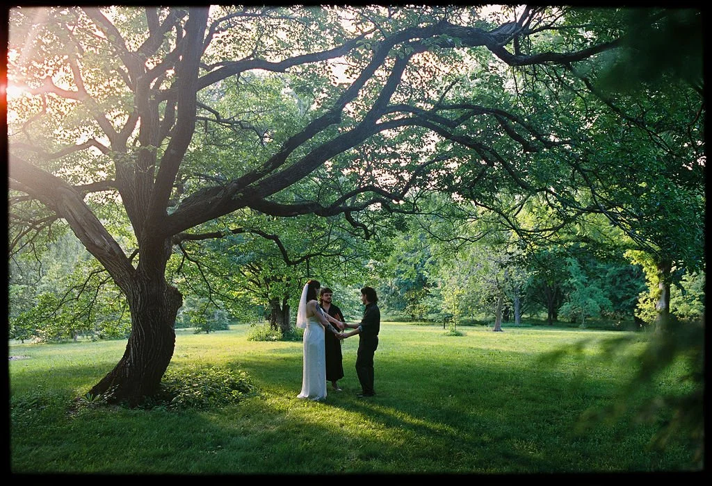 ALLIESHANON-6-12-2026-MELTATAPHOTOGRAPHY-91.jpg