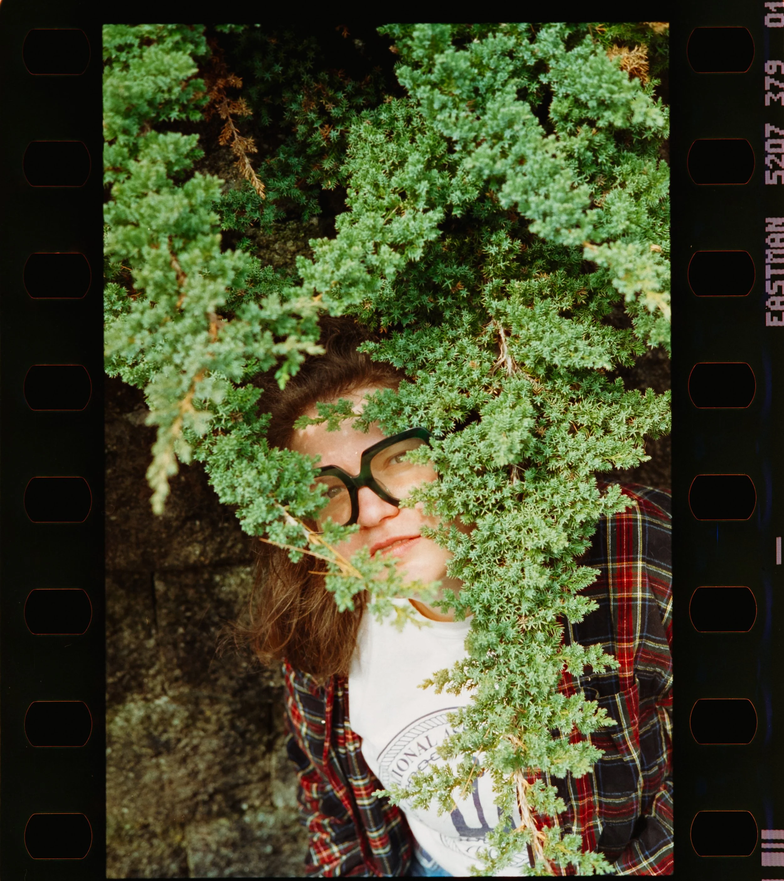 A person standing behind small branches of a tree