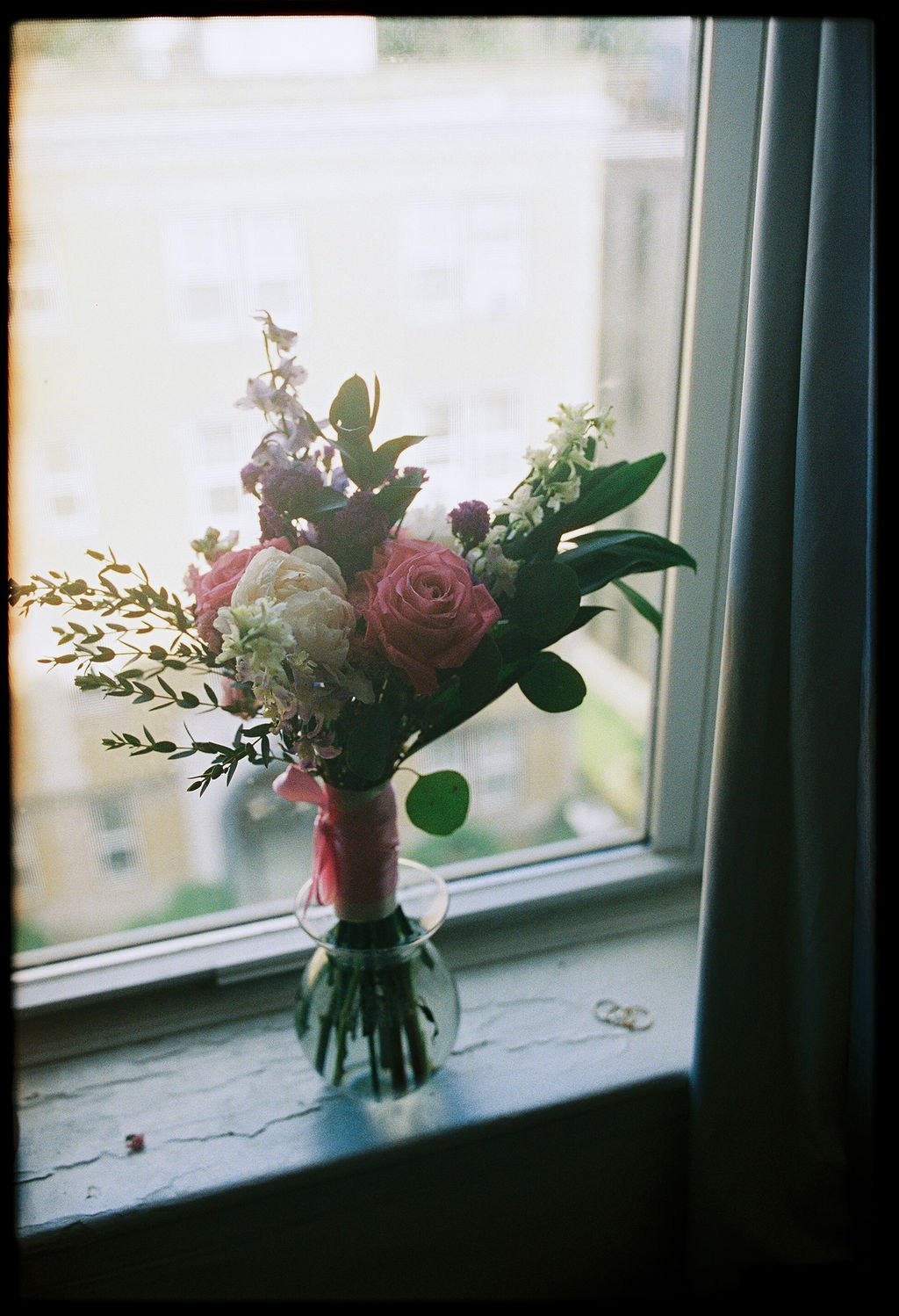 ALLIESHANON-6-12-2026-MELTATAPHOTOGRAPHY-3.jpg